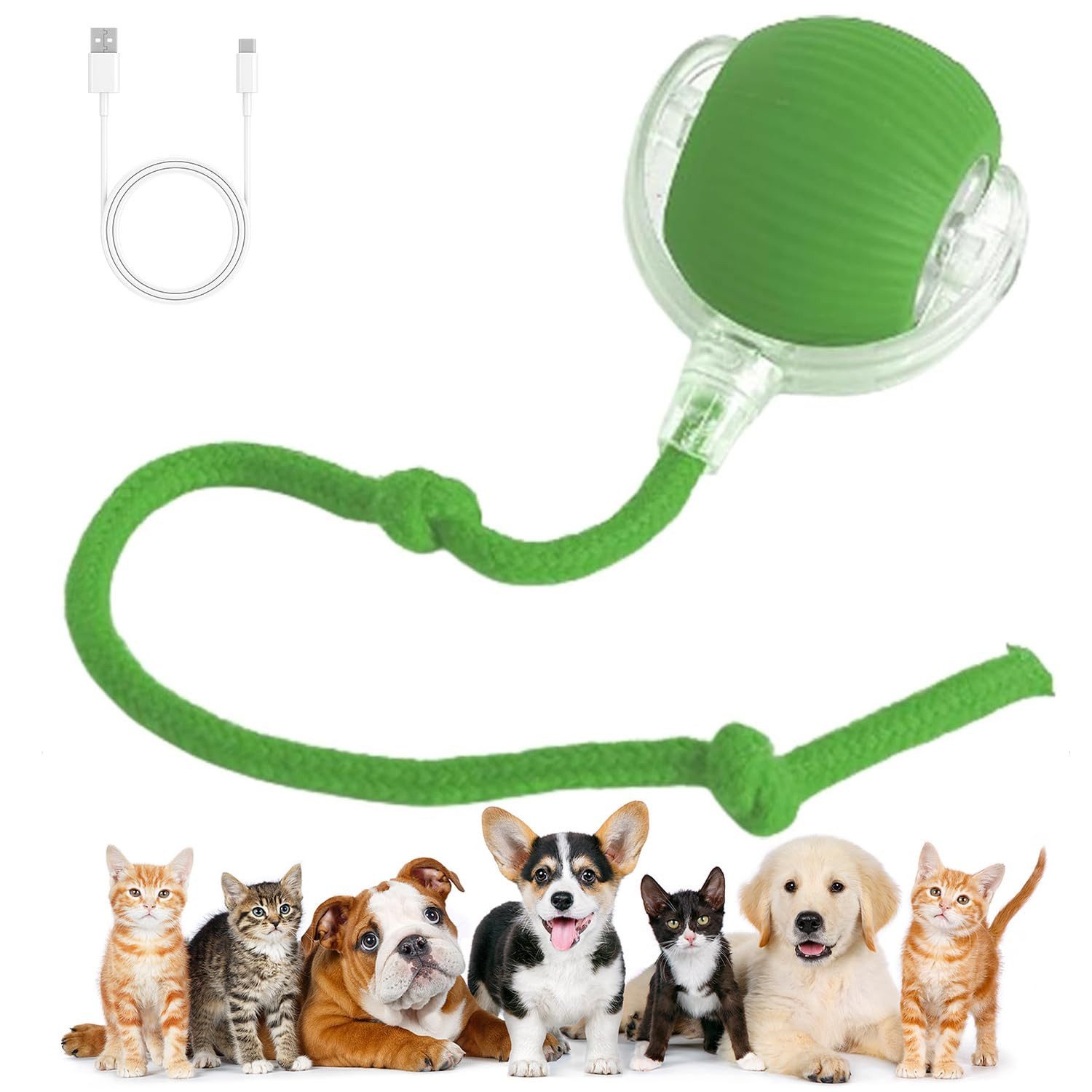 RWEUOQ Tier-Intelligenzspielzeug Katzen- und Hundespielzeug, Interaktives günstig online kaufen