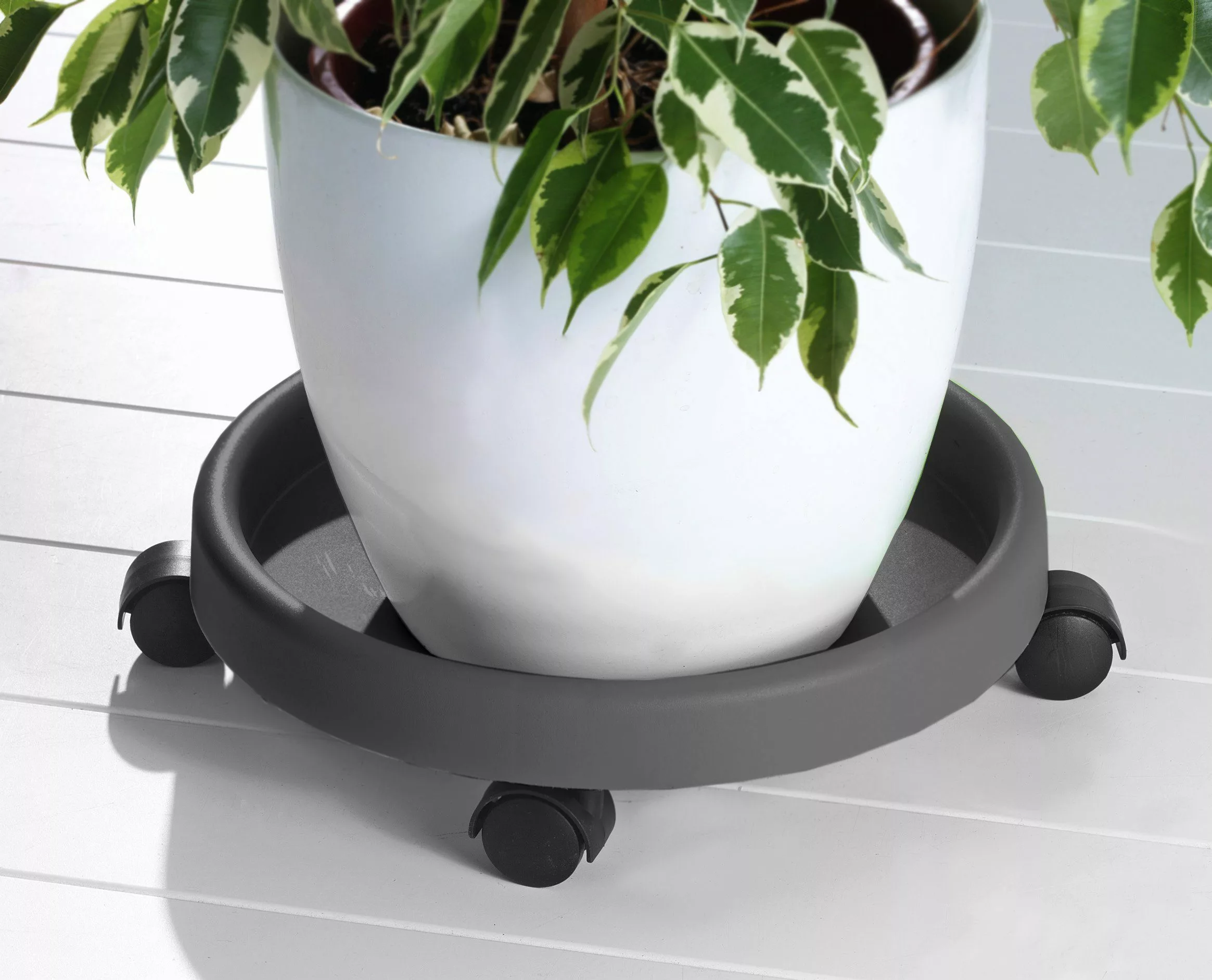 Ruco Blumentopfuntersetzer, (Set, 2 tlg.), Kunststoff, Ø 34 cm günstig online kaufen