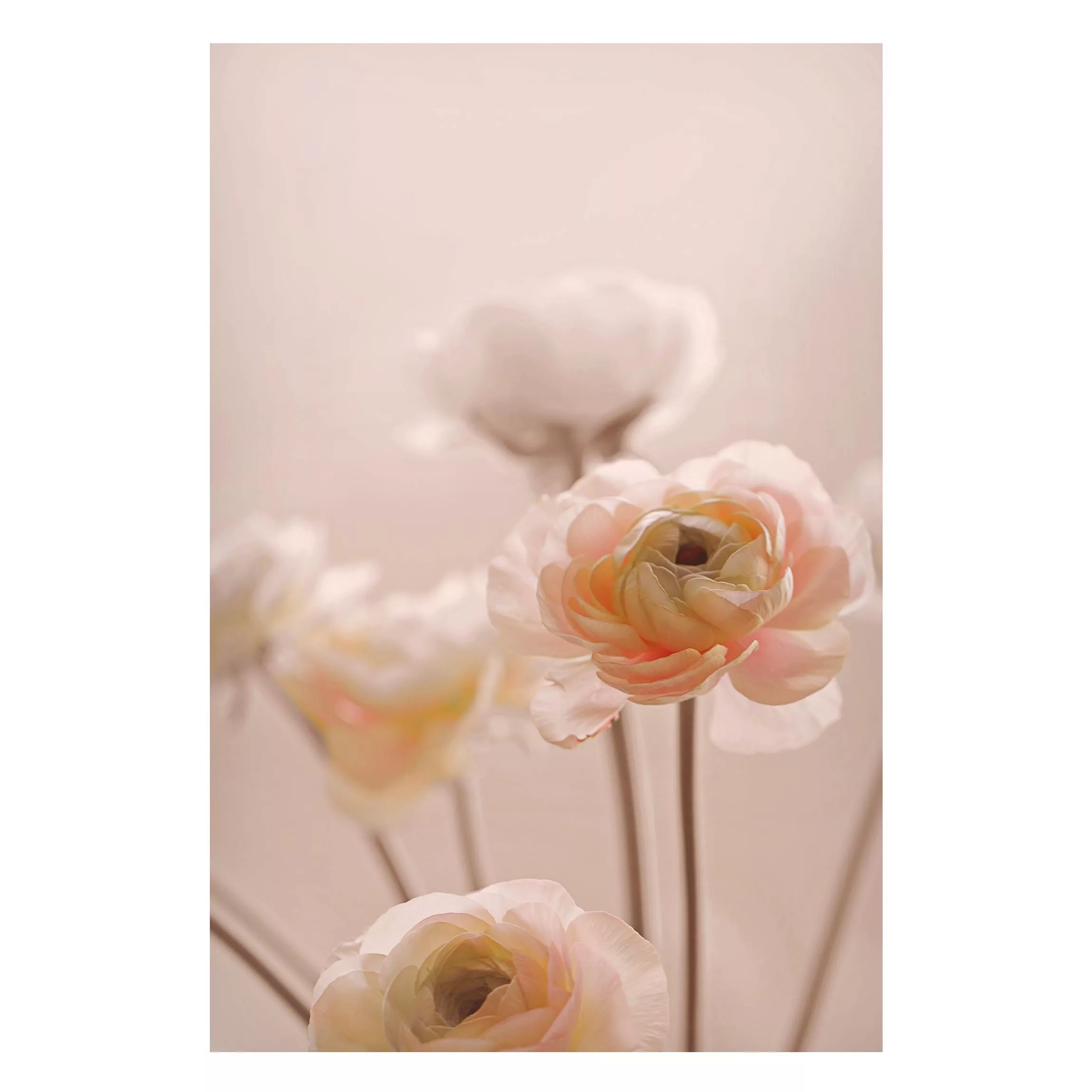 Magnettafel Zarter Strauch an Rosa Blüten günstig online kaufen
