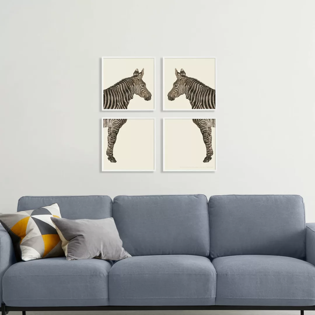 Natural History Museum 'Vintage Zebra' 4 x gerahmte Kunstdrucke (20 x 20 cm günstig online kaufen