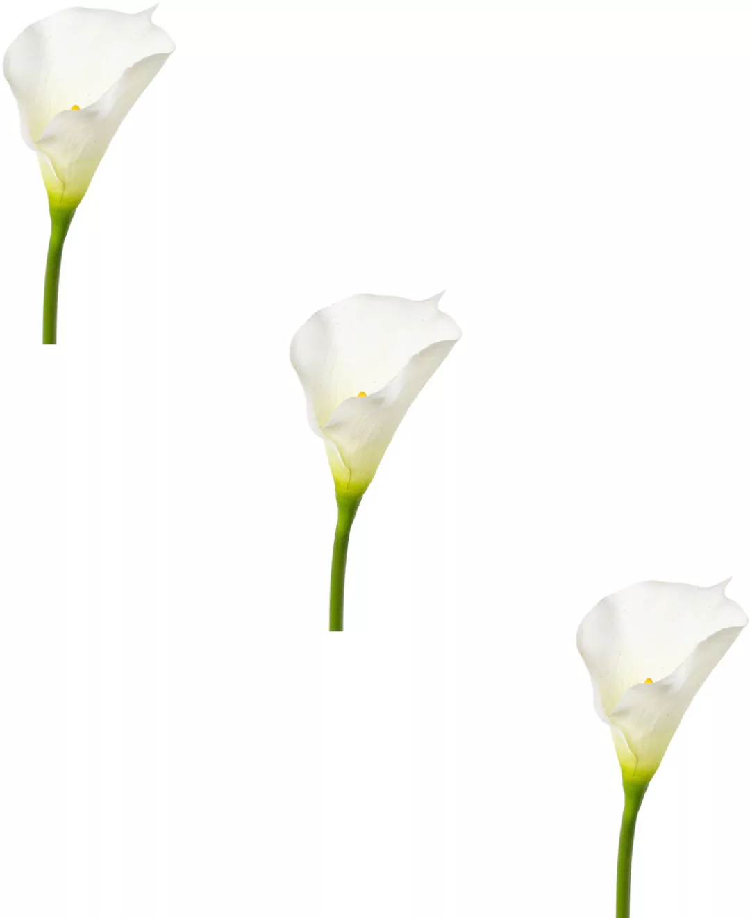 Creativ green Kunstblume "Calla" günstig online kaufen