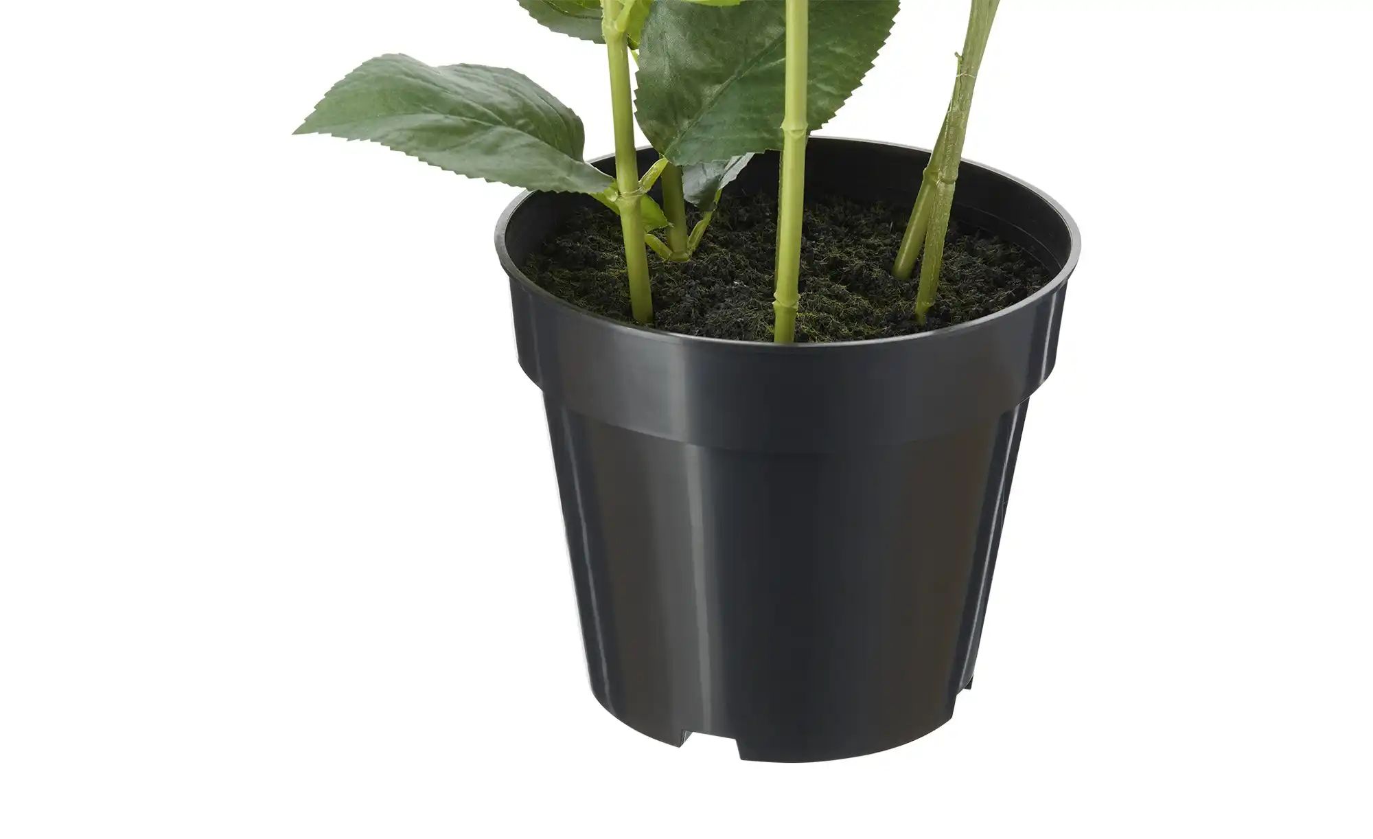 Hortensie getopft   ¦ lila/violett ¦ Kunststoff ¦ Maße (cm): H: 85 Accessoi günstig online kaufen