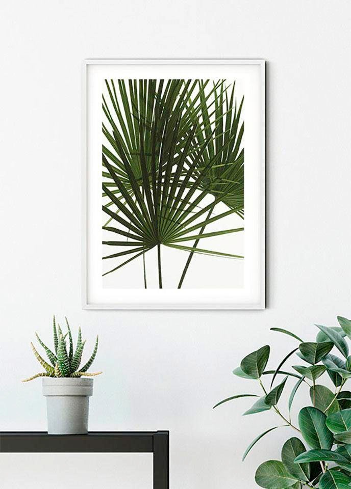 Komar Poster »Palmtree Leaves«, Pflanzen, (1 St.), Kinderzimmer, Schlafzimm günstig online kaufen