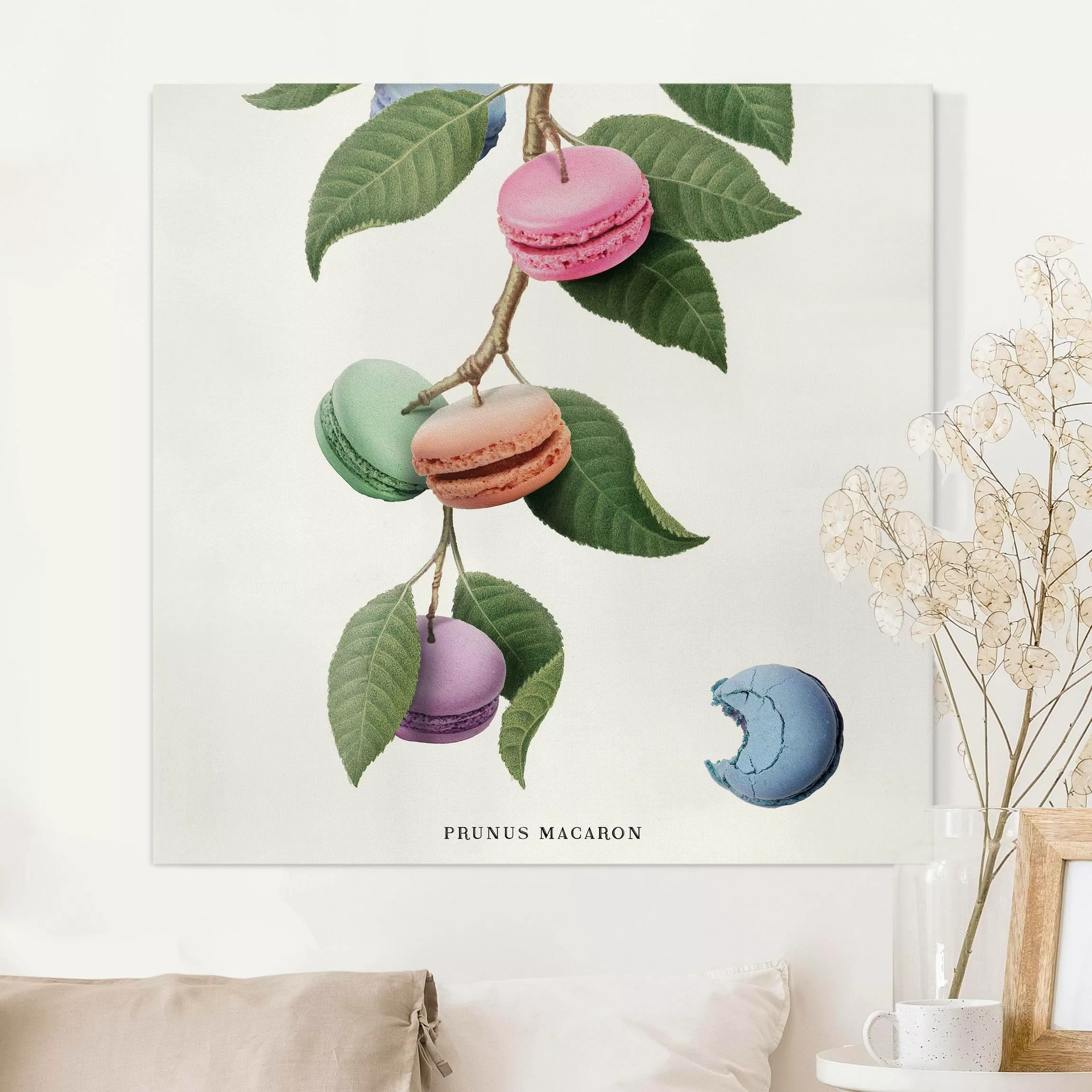 Leinwandbild Vintage Pflanze - Macaron günstig online kaufen