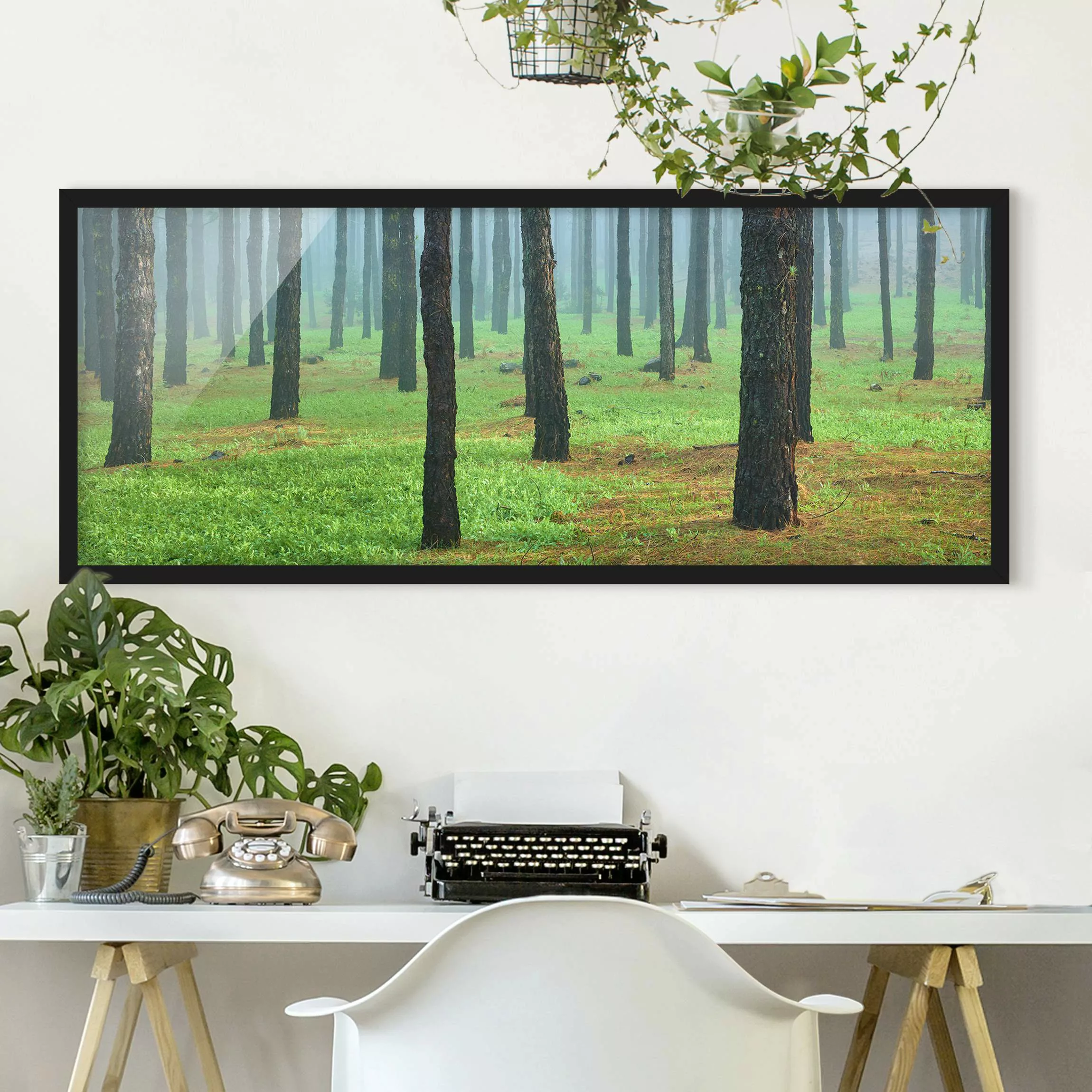 Bild mit Rahmen Natur & Landschaft - Panorama Tiefer Wald mit Kiefern auf L günstig online kaufen
