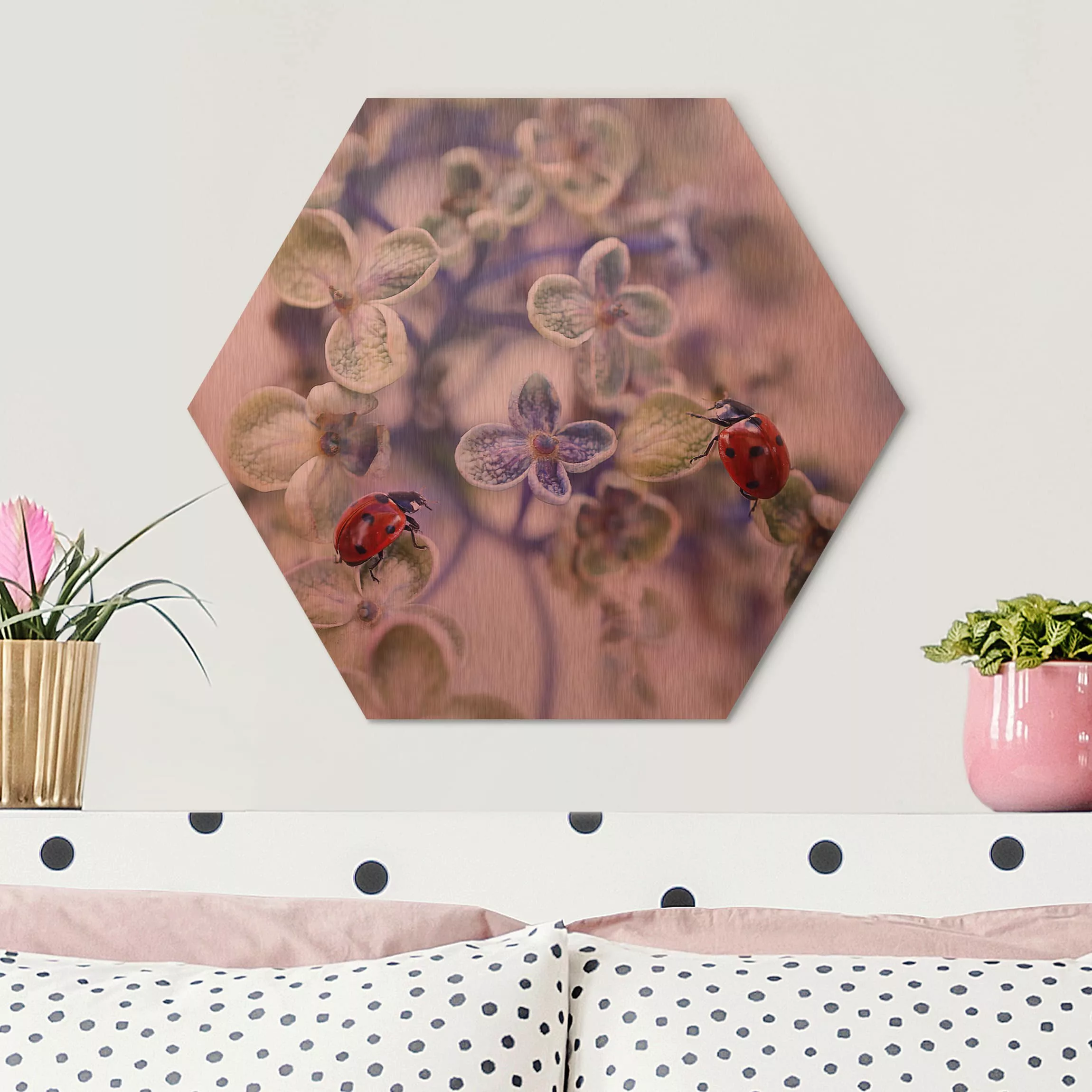 Hexagon-Alu-Dibond Bild Blumen Marienkäfer im Garten günstig online kaufen