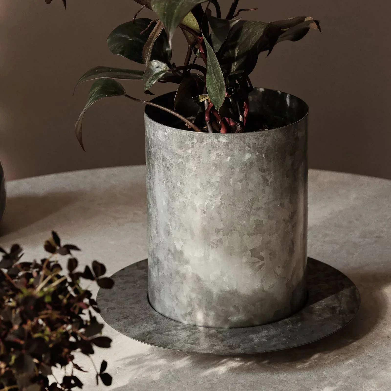 ferm LIVING Blumentopf Auran, grau, Höhe 21 cm, Eisen günstig online kaufen