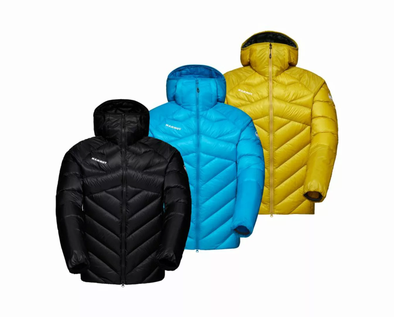 Taiss IN Hooded Jacket Men - Daunenjacke günstig online kaufen