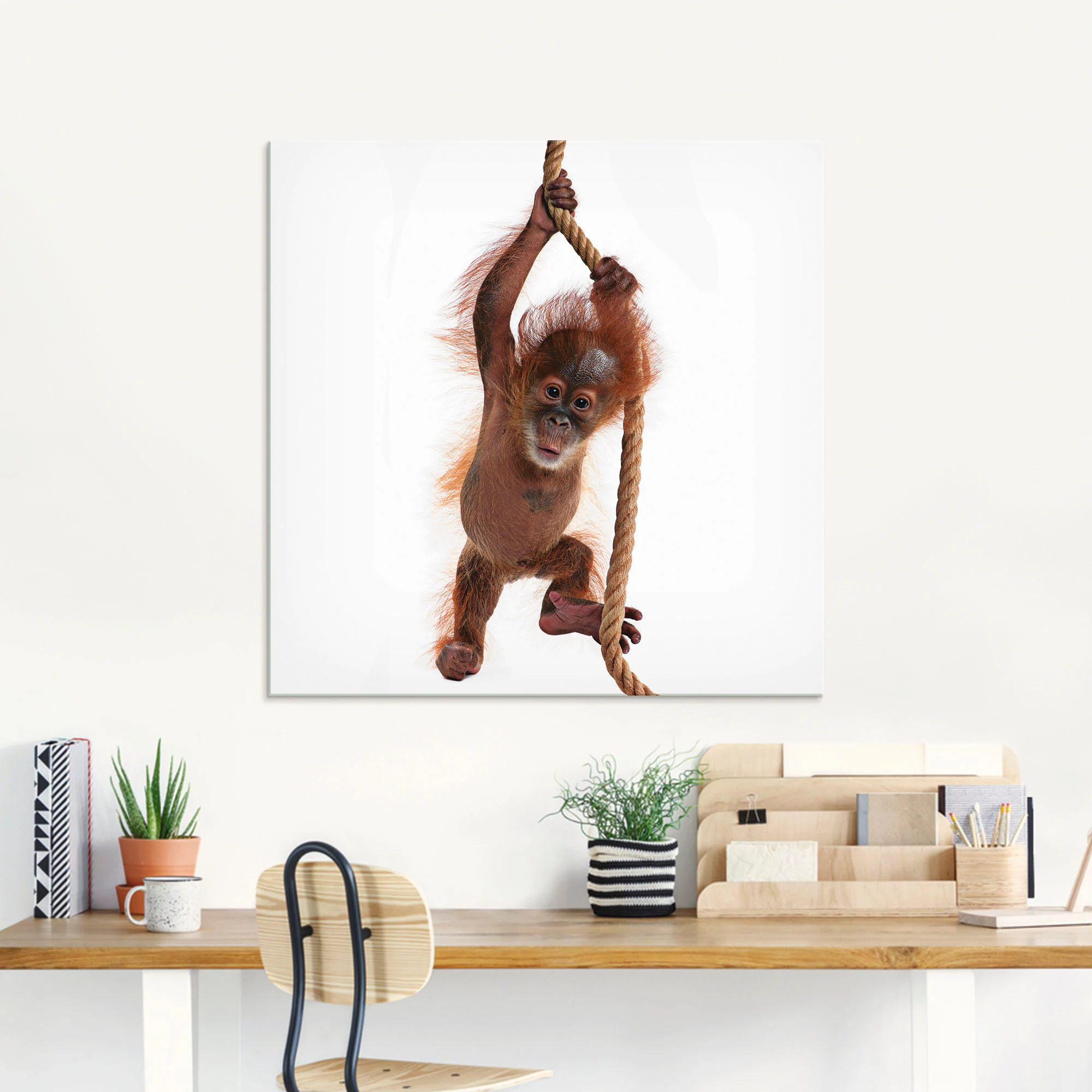 Artland Glasbild »Baby Orang Utan hängt am Seil I«, Wildtiere, (1 St.), in günstig online kaufen
