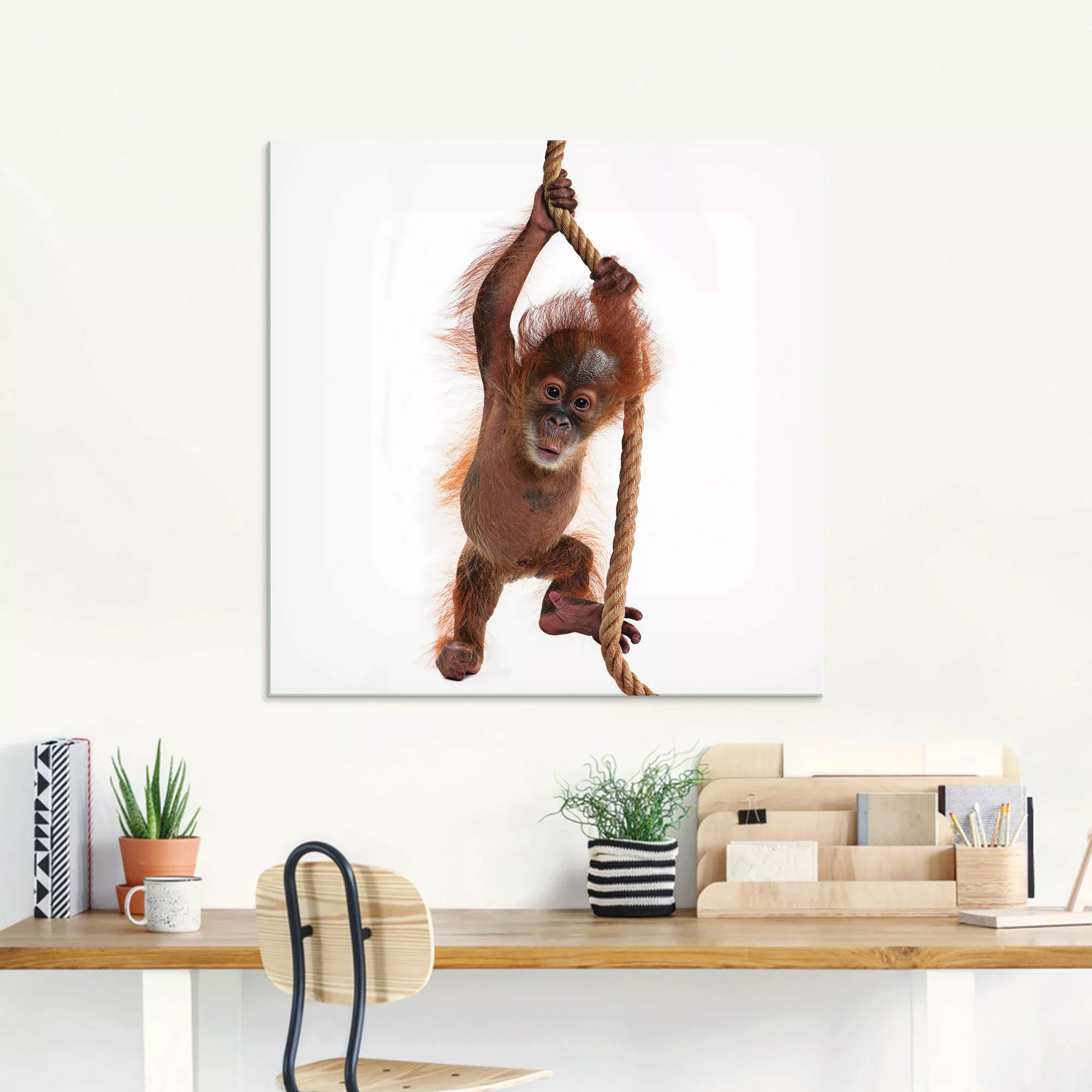 Artland Glasbild "Baby Orang Utan hängt am Seil I", Wildtiere, (1 St.), in günstig online kaufen