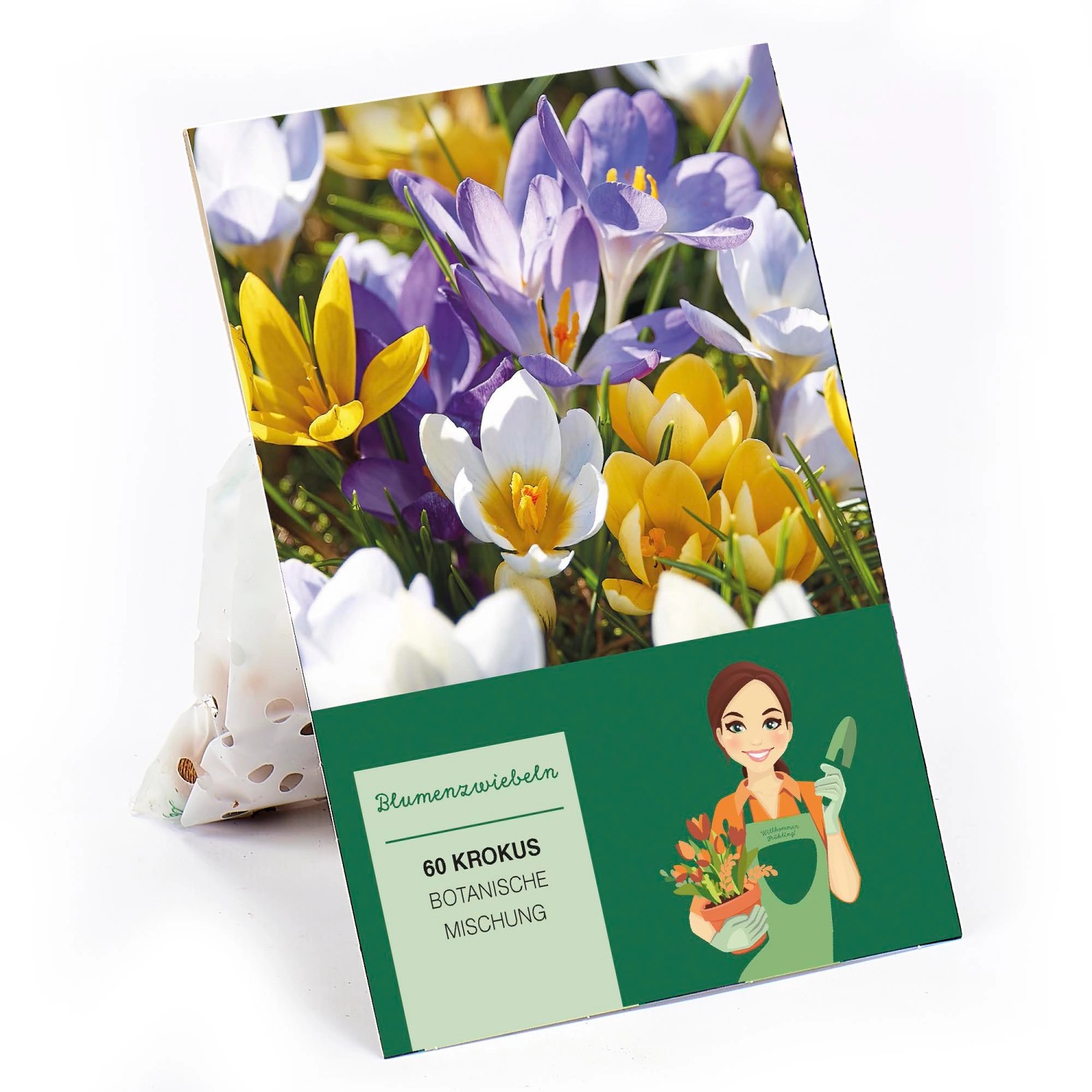 Krokus Mischung 60 Stück Crocus chrysanthus günstig online kaufen