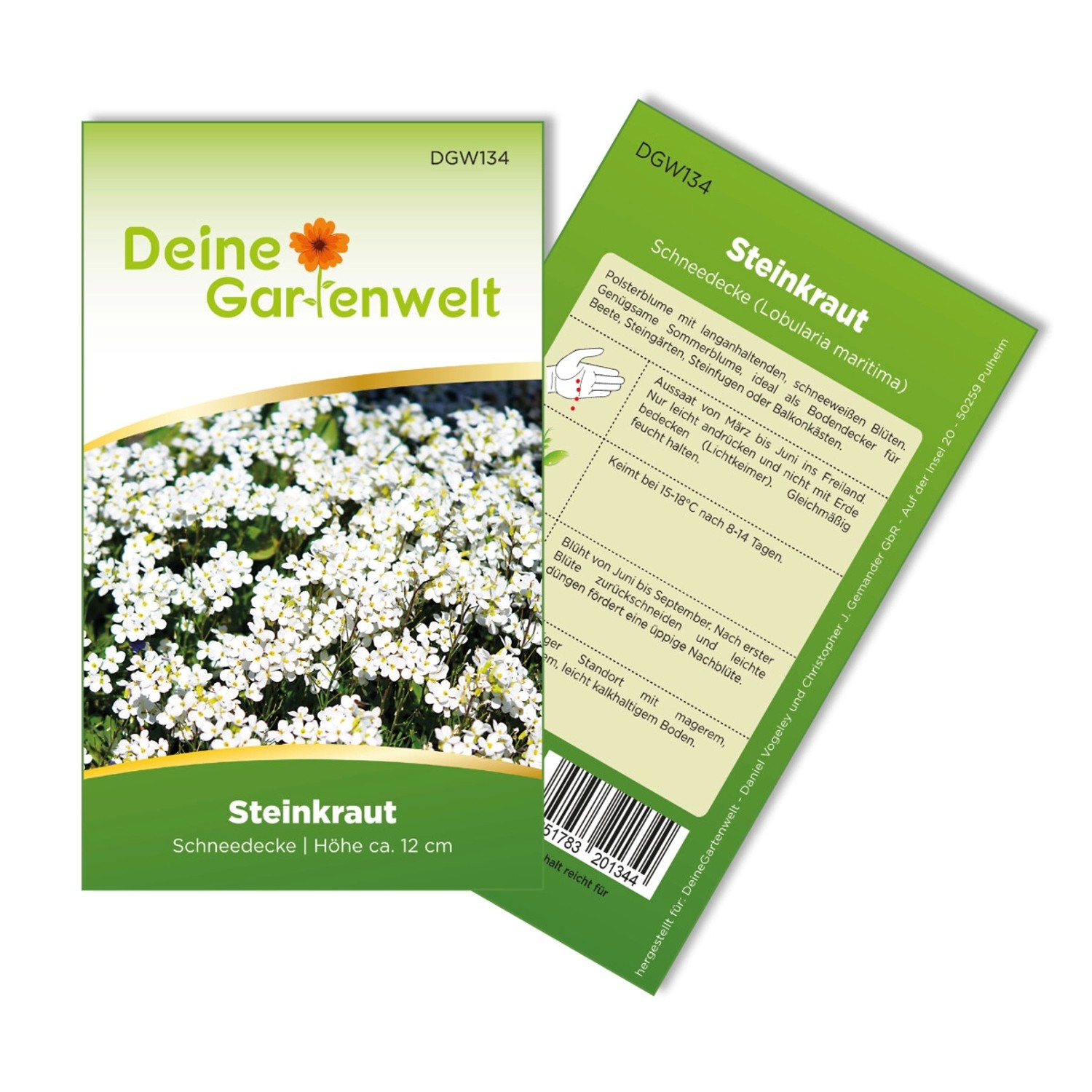 Deine Gartenwelt Steinkraut Schneedecke Samen günstig online kaufen