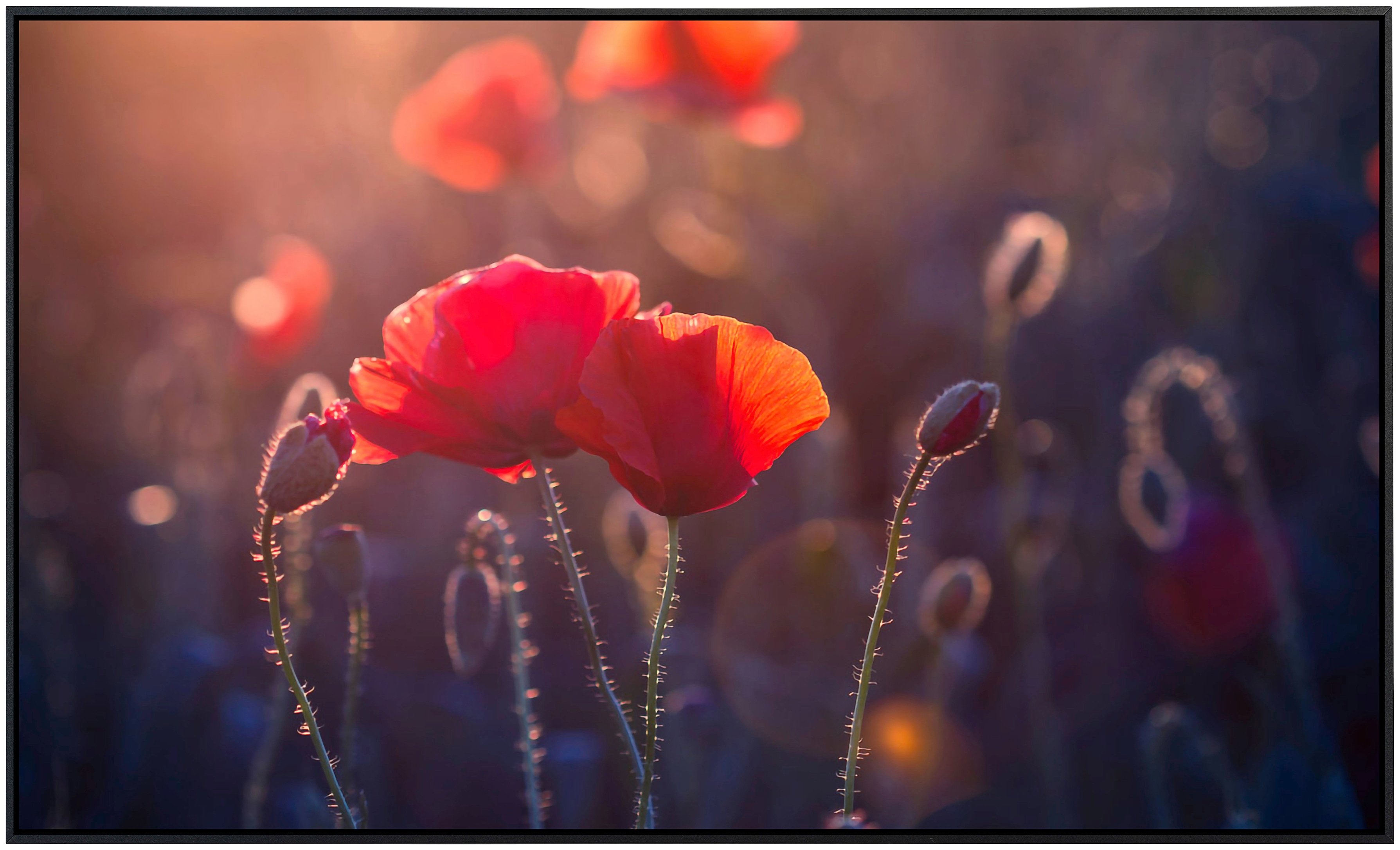 Papermoon Infrarotheizung »Blumen«, sehr angenehme Strahlungswärme günstig online kaufen