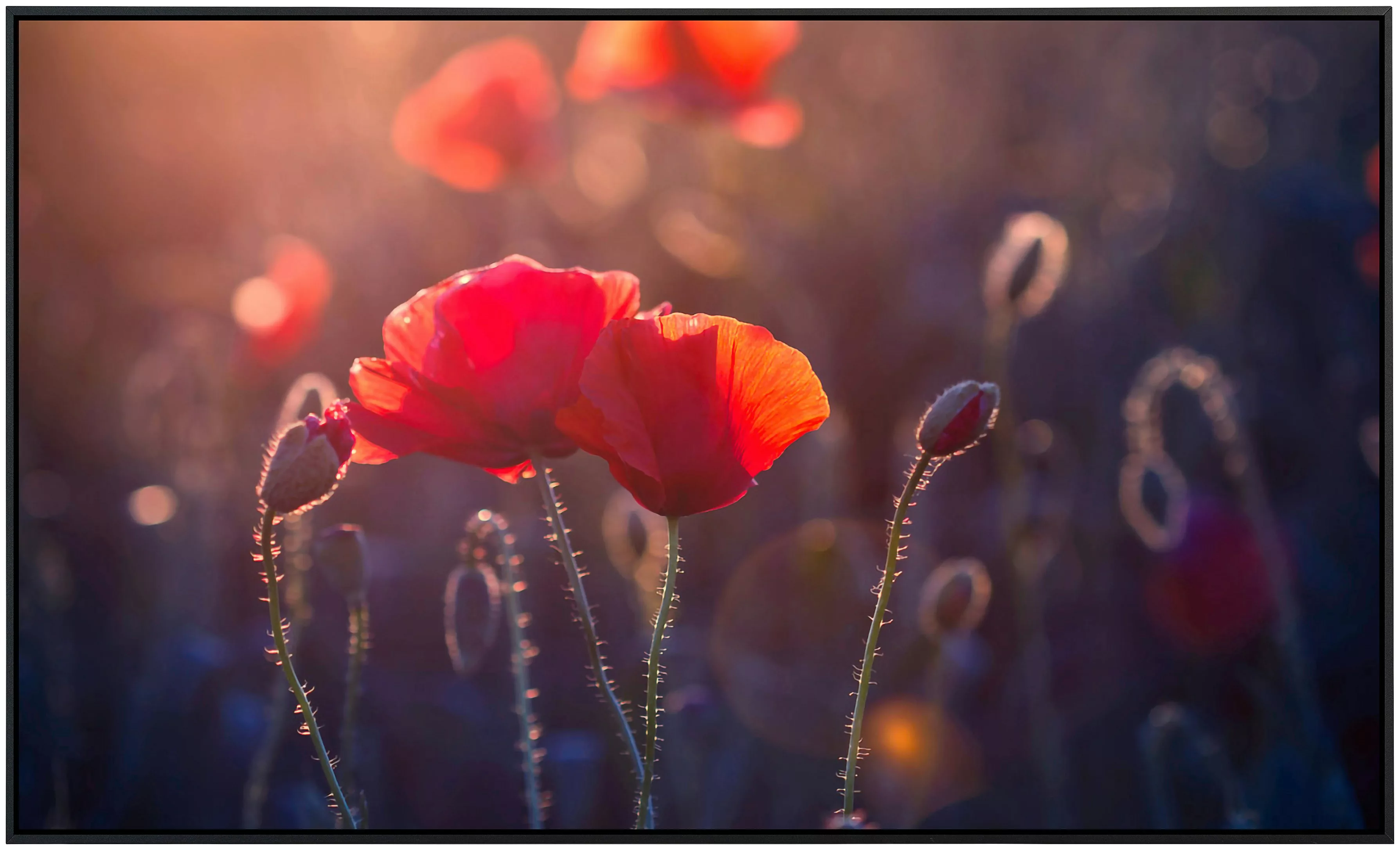 Papermoon Infrarotheizung »Blumen«, sehr angenehme Strahlungswärme günstig online kaufen