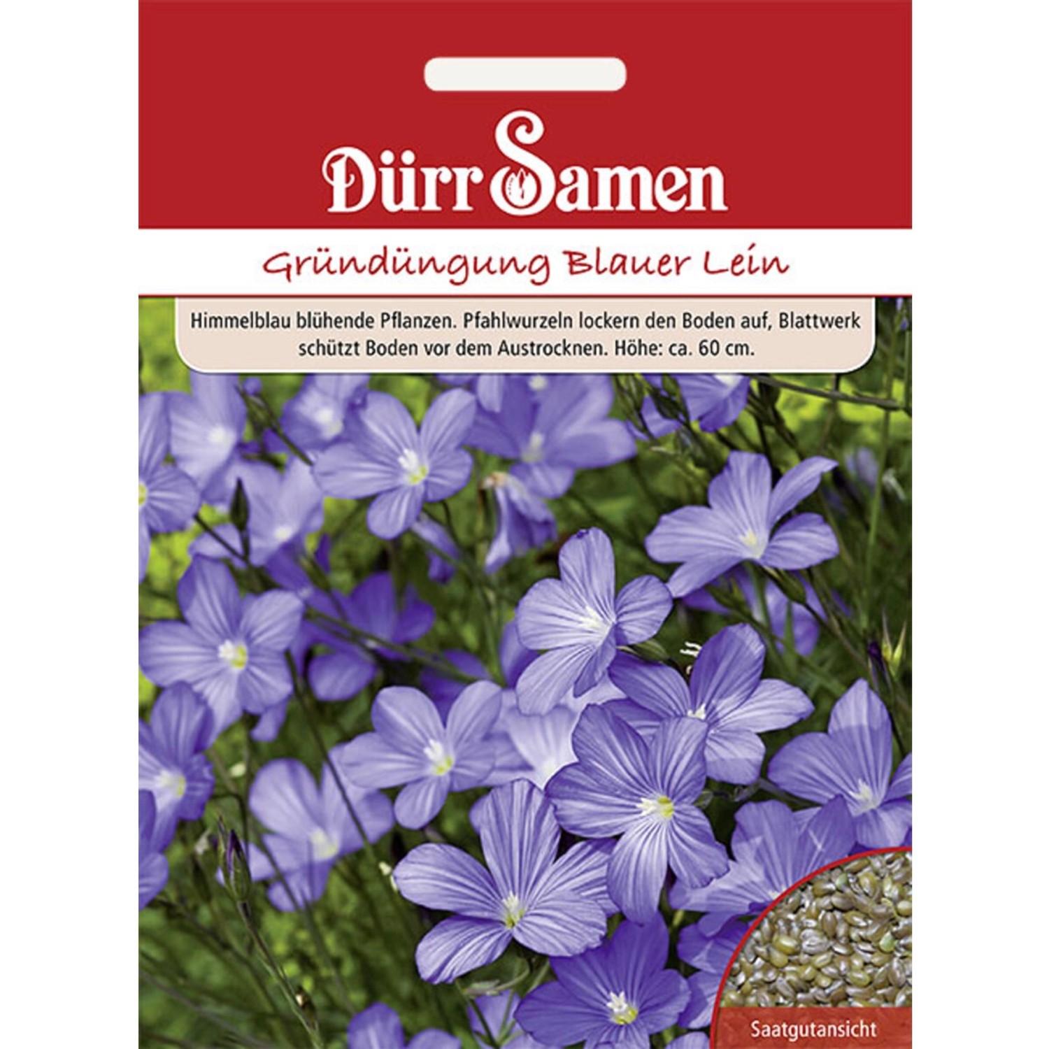 Dürr Samen Gründüngung Blauer Lein 60 G Saatgut günstig online kaufen