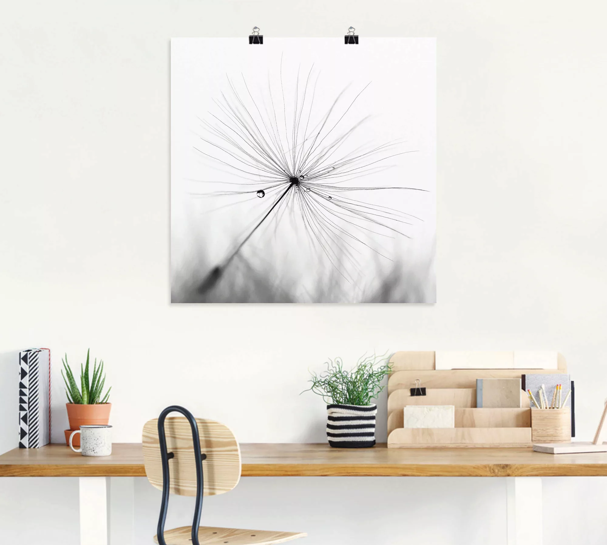 Artland Wandbild "Pusteblume Schirmchen", Blumen, (1 St.), als Alubild, Out günstig online kaufen