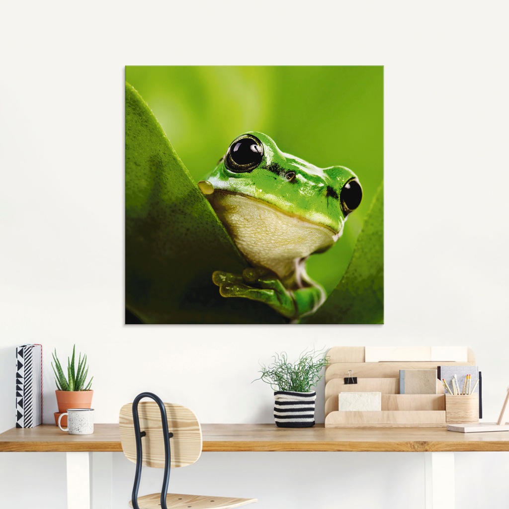 Artland Glasbild "Ausspähender Frosch", Wassertiere, (1 St.), in verschiede günstig online kaufen