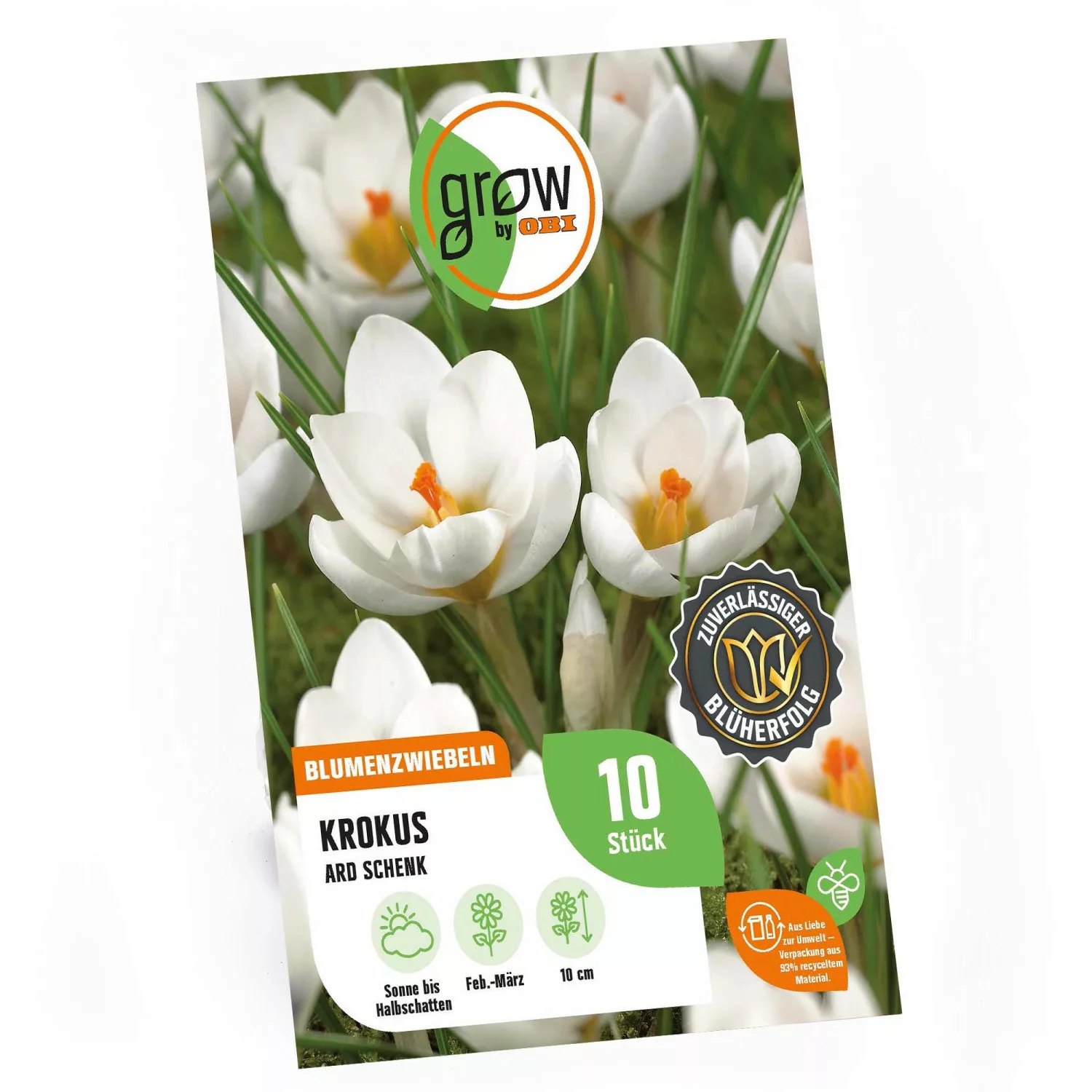 GROW by OBI Krokus Ard Schenk Weiß 10 cm Crocus chrysanthus günstig online kaufen