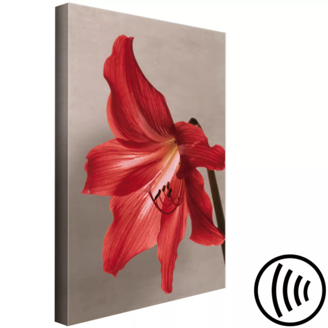 Wandbild Red Flower (1 Part) Vertical XXL günstig online kaufen