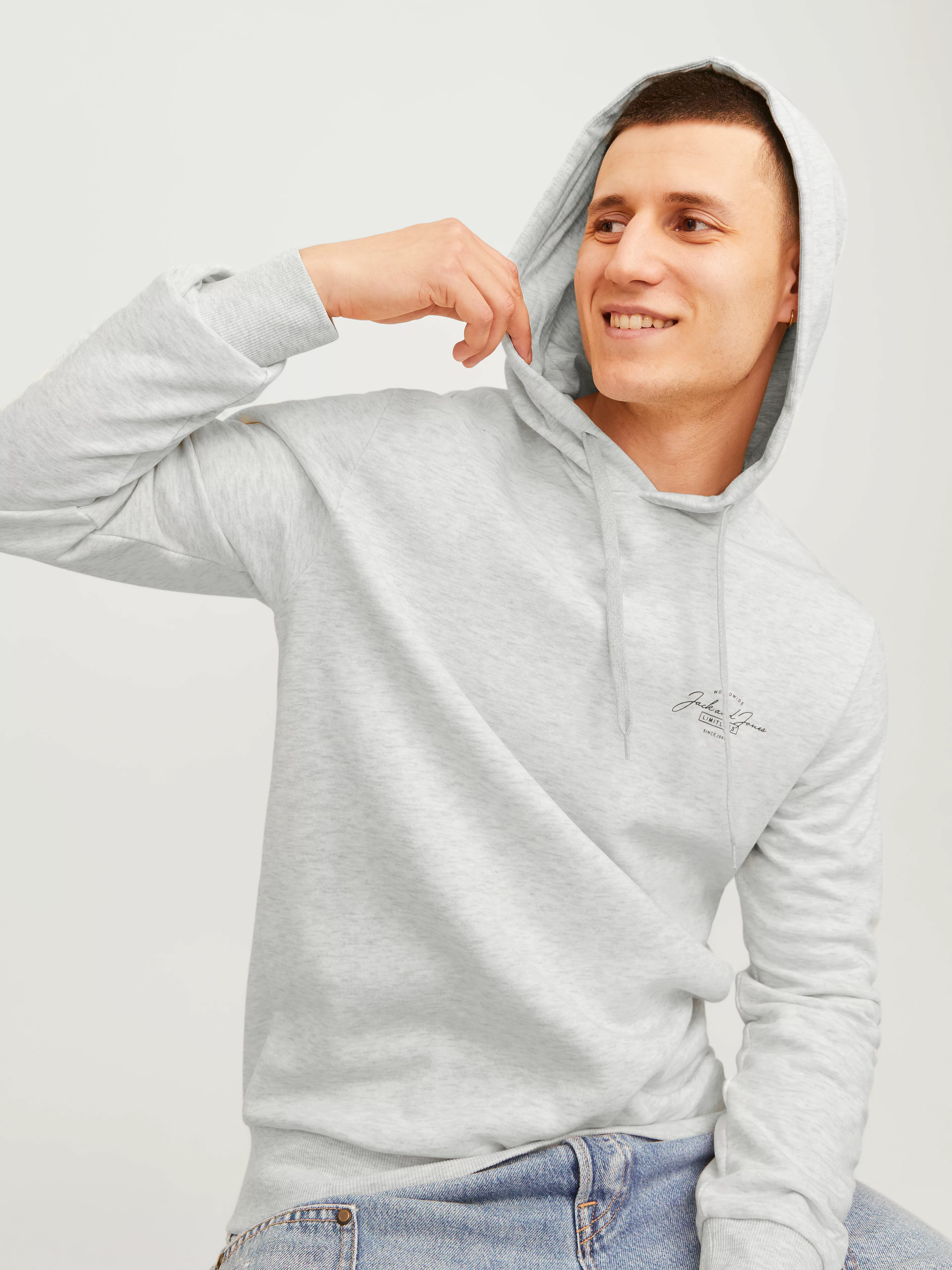 Jack & Jones Kapuzensweatshirt JJFERRIS SWEAT HOOD günstig online kaufen