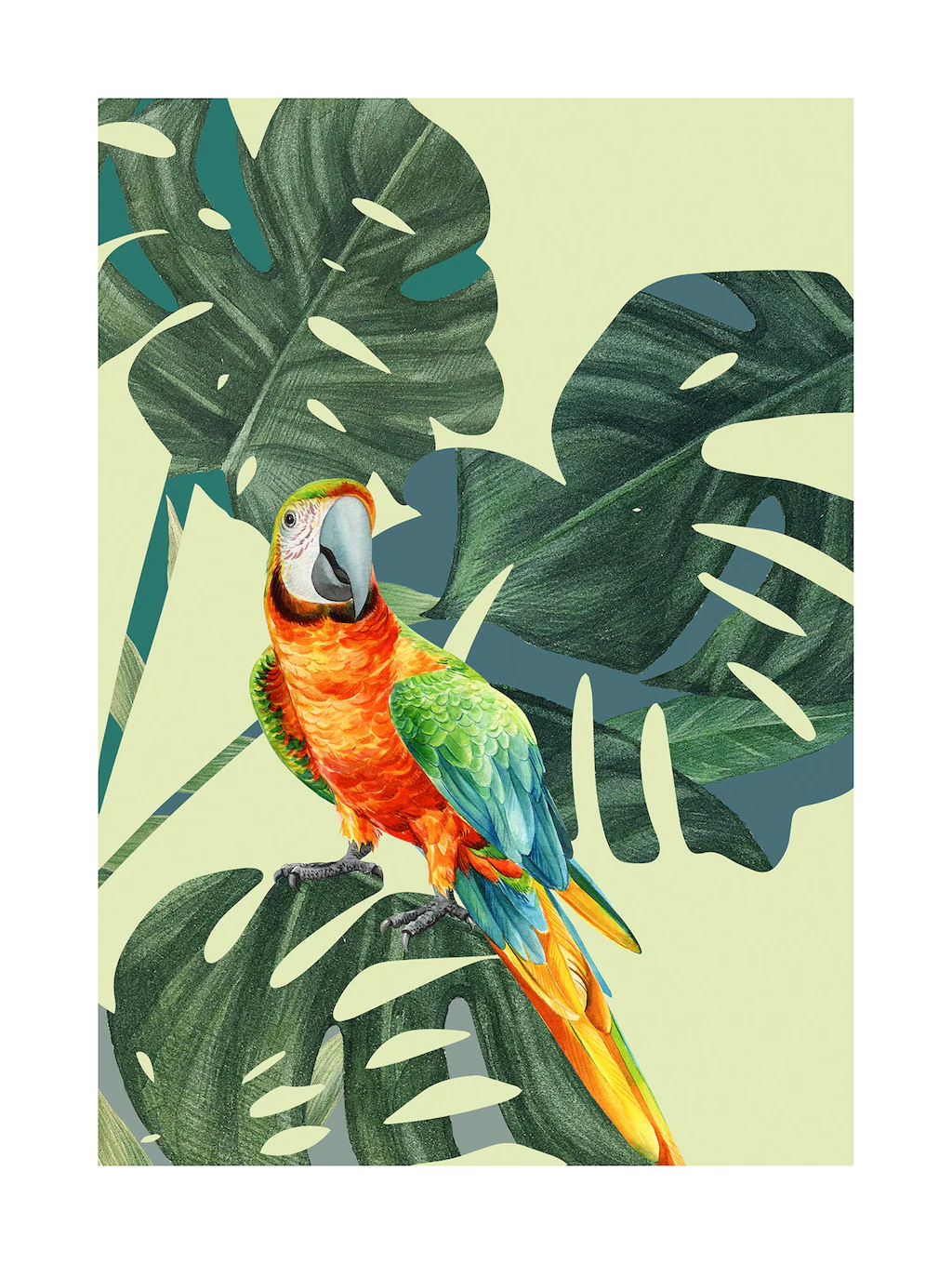 Komar Poster "Green-Winged Macaw", (1 St.), Kinderzimmer, Schlafzimmer, Woh günstig online kaufen