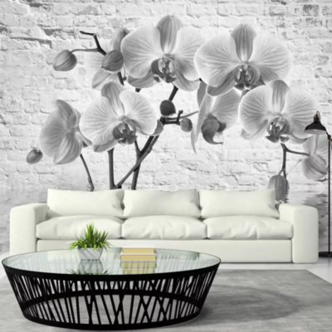 artgeist Fototapete Orchid in Shades of Gray grau/weiß Gr. 150 x 105 günstig online kaufen
