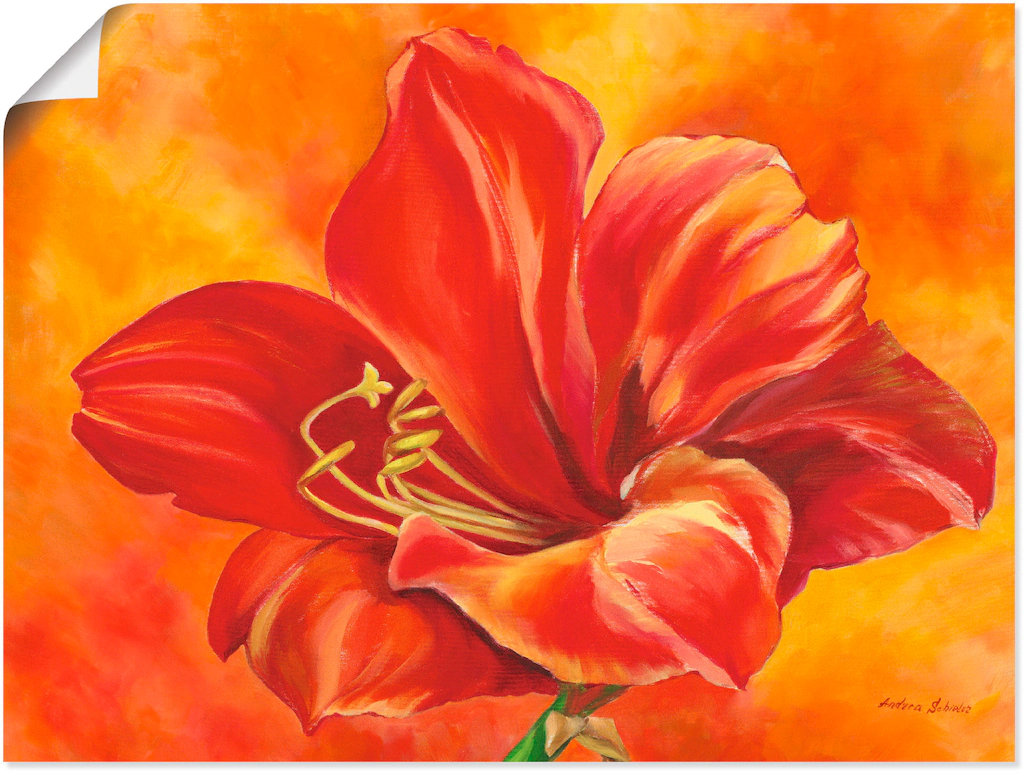 Artland Wandbild "Amaryllis", Blumen, (1 St.), als Leinwandbild, Poster in günstig online kaufen