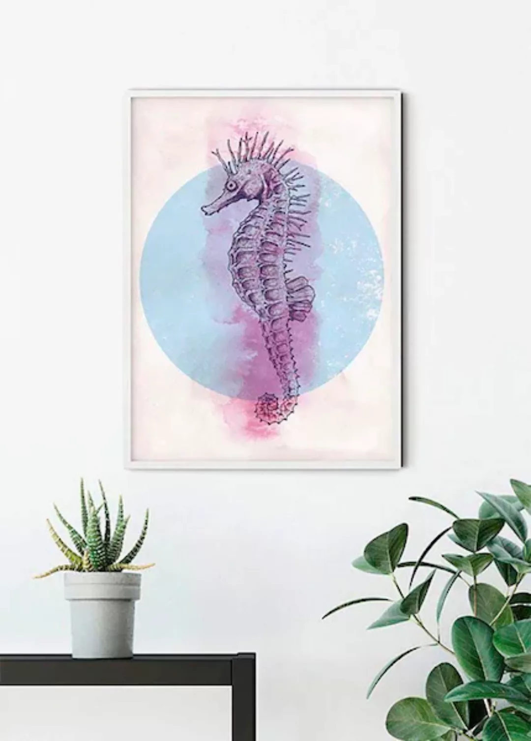 Komar Poster "Sea Horse Circle", Tiere, (1 St.) günstig online kaufen