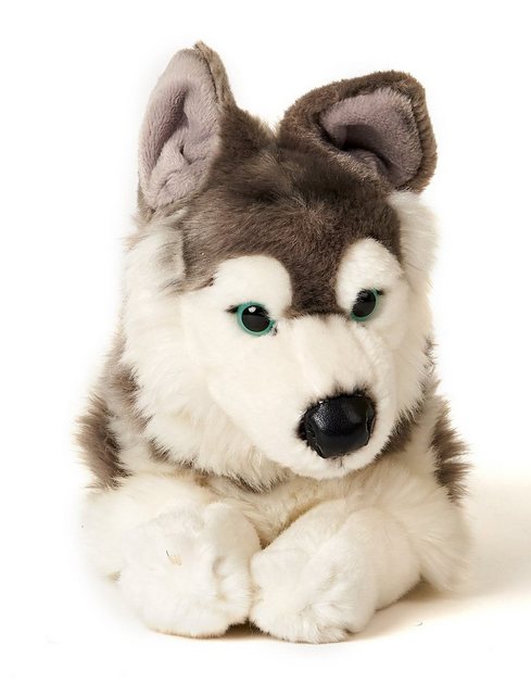 Uni-Toys Kuscheltier Husky grau, liegend - 43 cm (Länge) - Plüsch-Hund - Pl günstig online kaufen