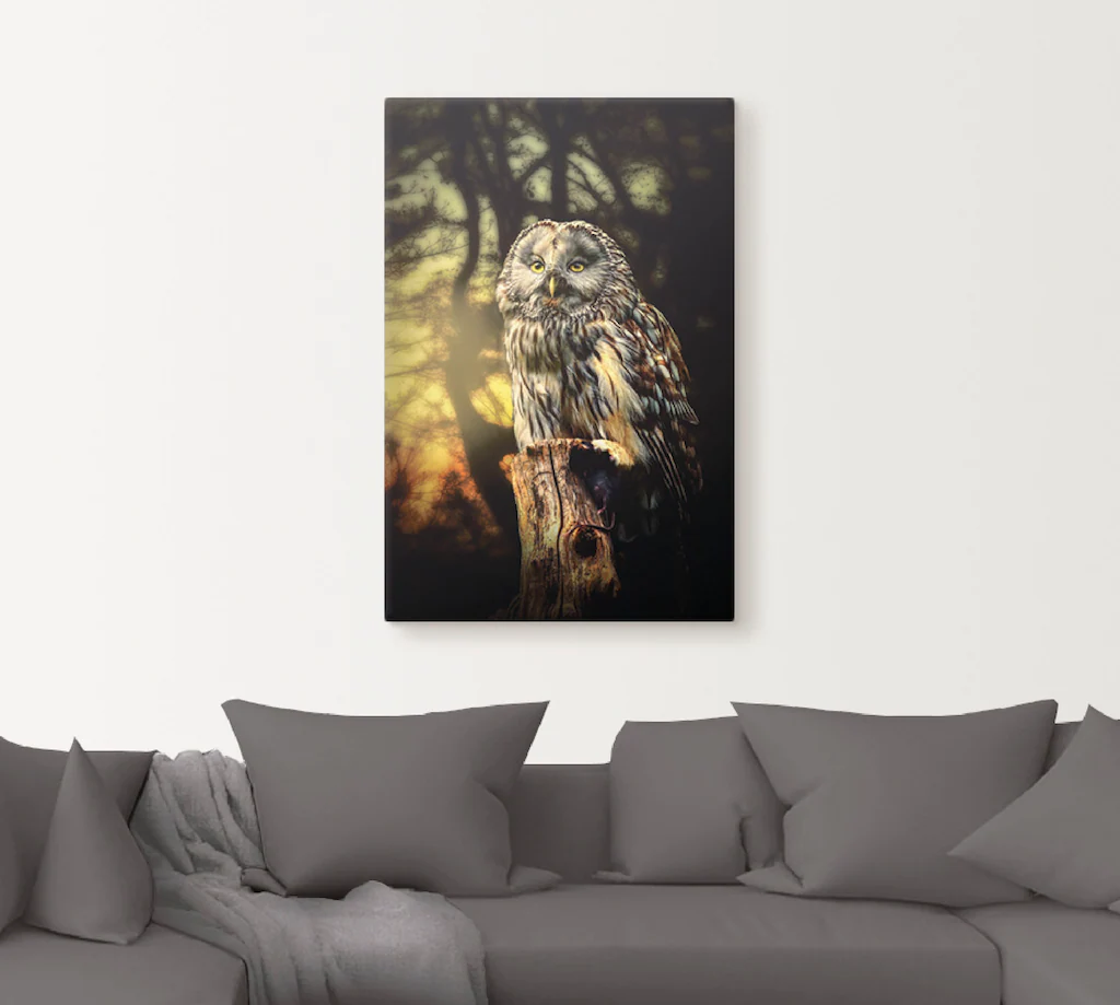 Artland Wandbild "Eule", Vögel, (1 St.), als Alubild, Outdoorbild, Leinwand günstig online kaufen