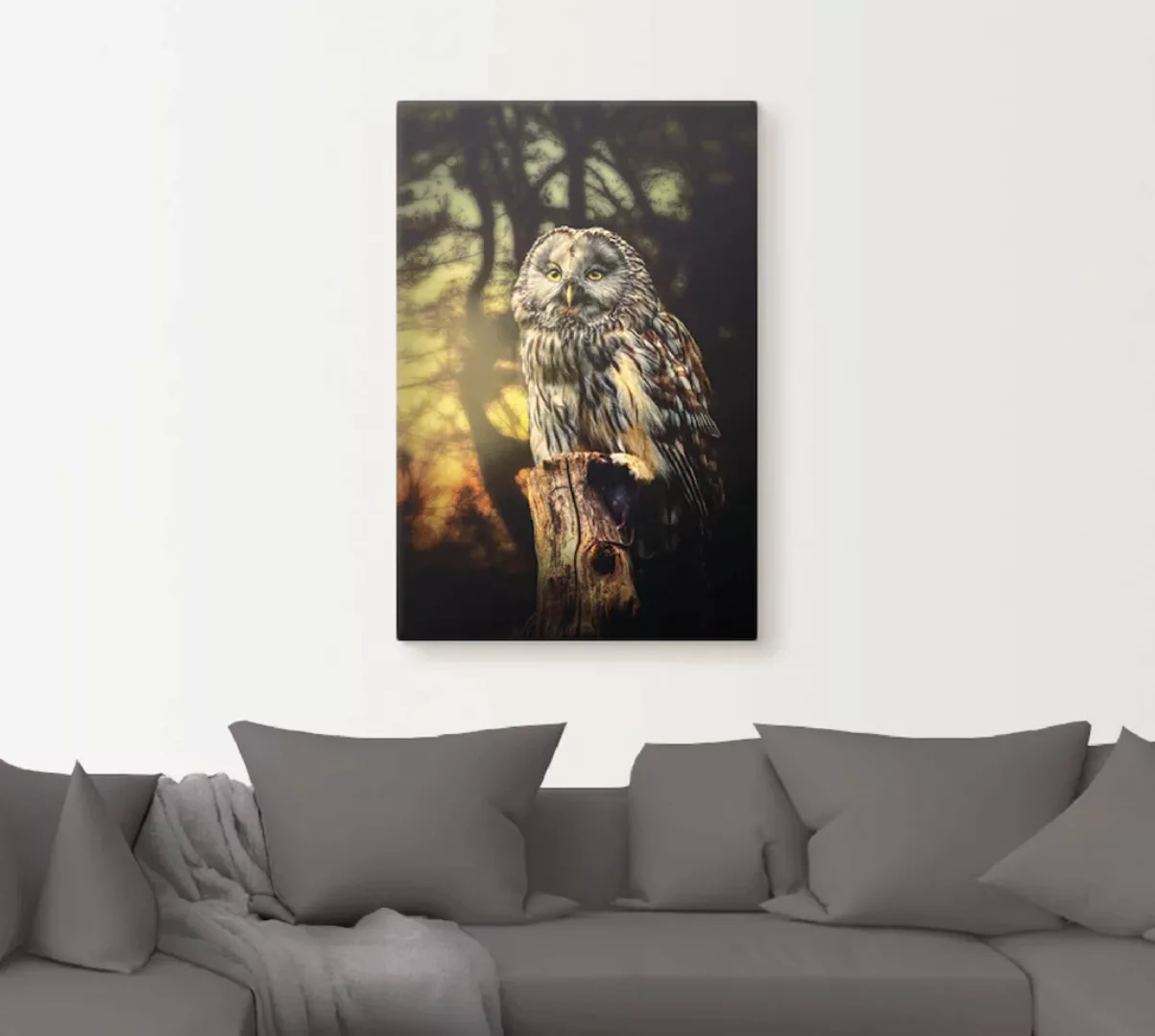 Artland Wandbild »Eule«, Vögel, (1 St.), als Alubild, Outdoorbild, Leinwand günstig online kaufen