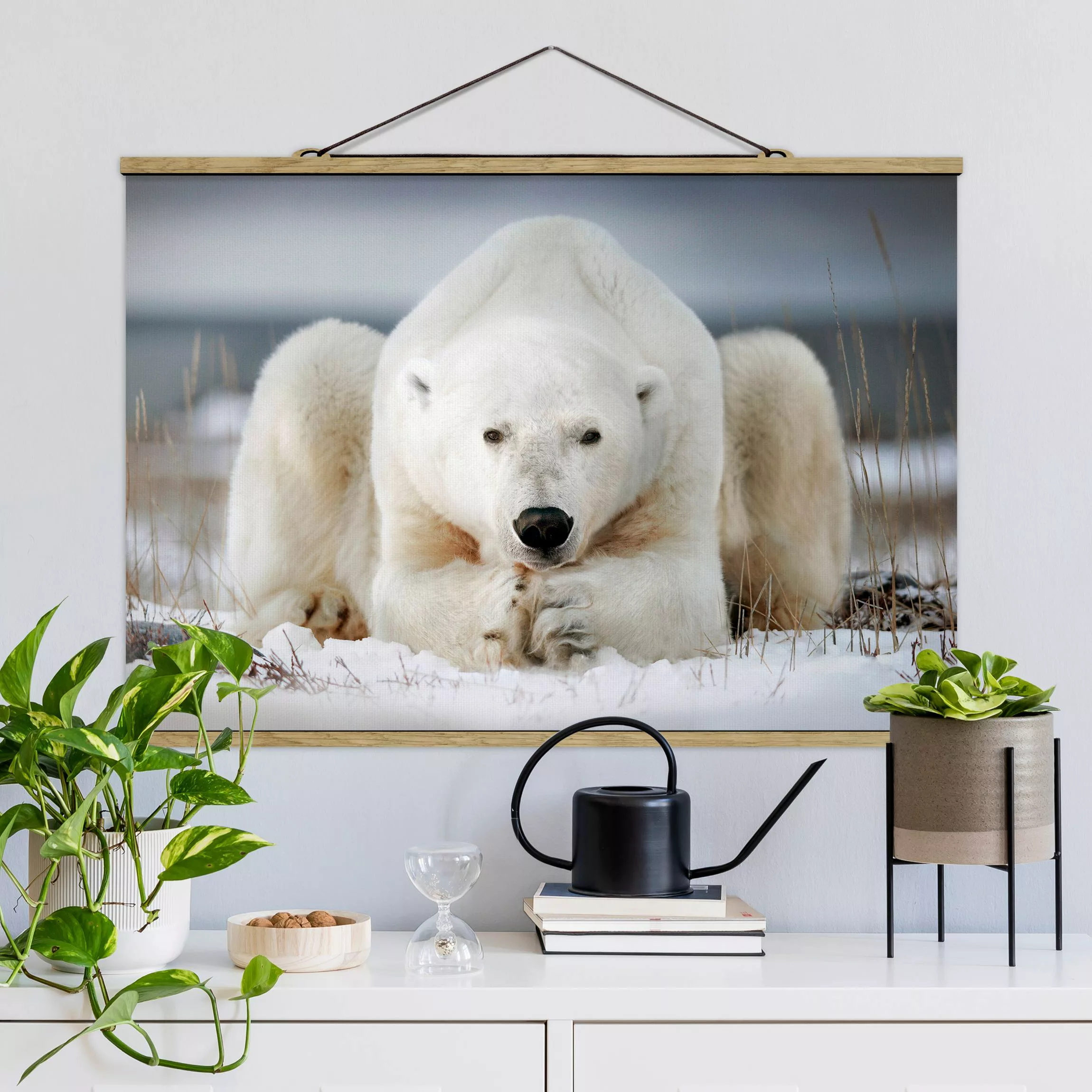 Stoffbild Tiere mit Posterleisten - Querformat Nachdenklicher Eisbär günstig online kaufen
