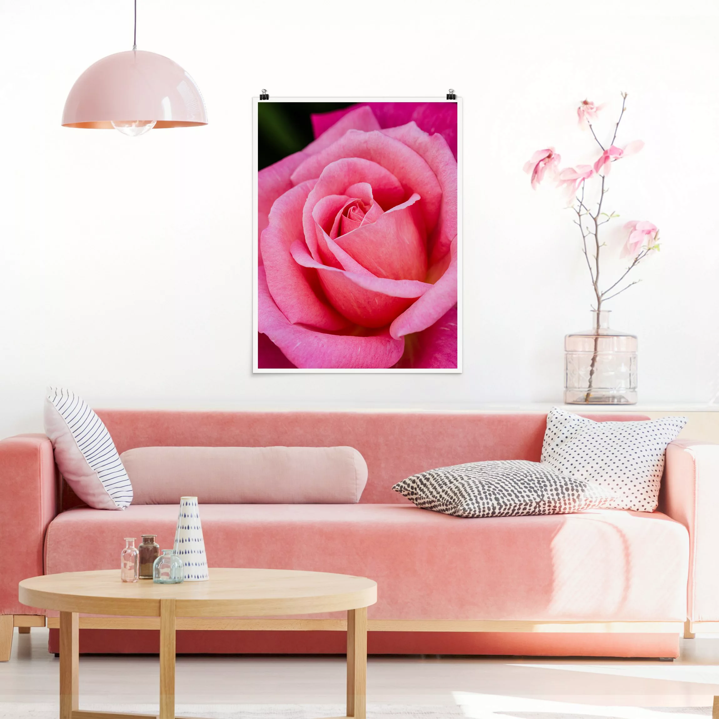 Poster Pinke Rosenblüte vor Grün günstig online kaufen