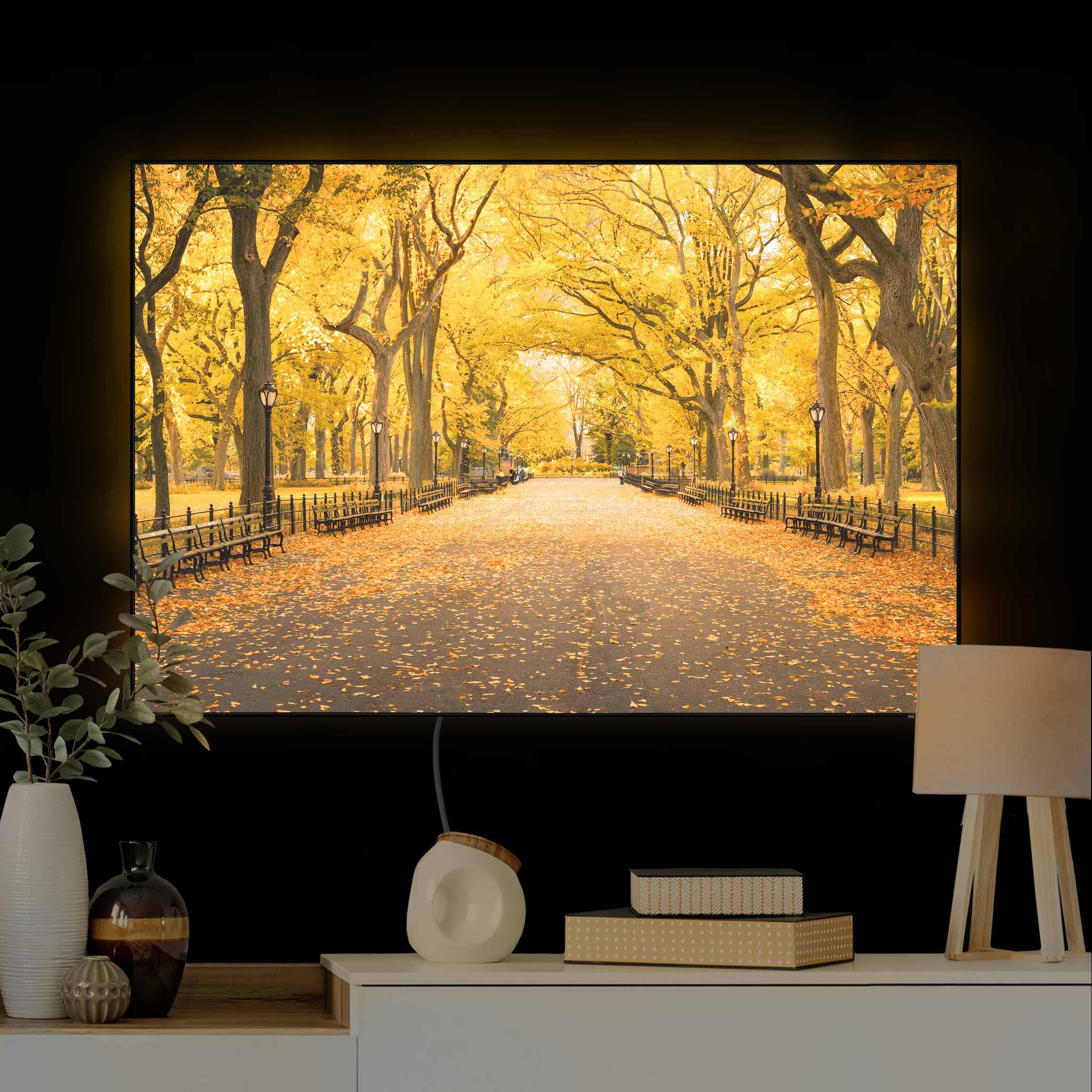 LED-Wechselbild Herbst im Central Park günstig online kaufen