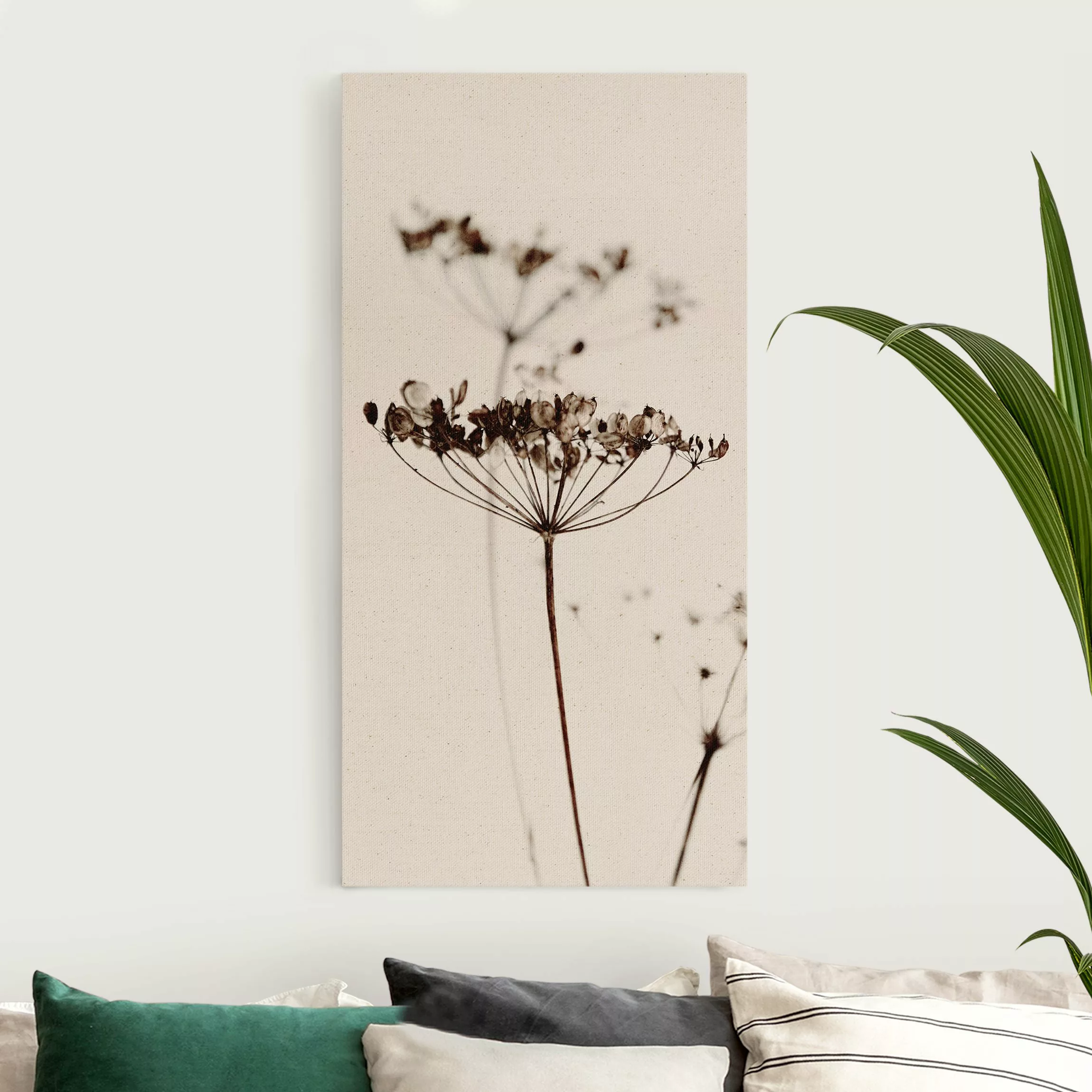 Leinwandbild auf Naturcanvas Trockenblume im Schatten günstig online kaufen