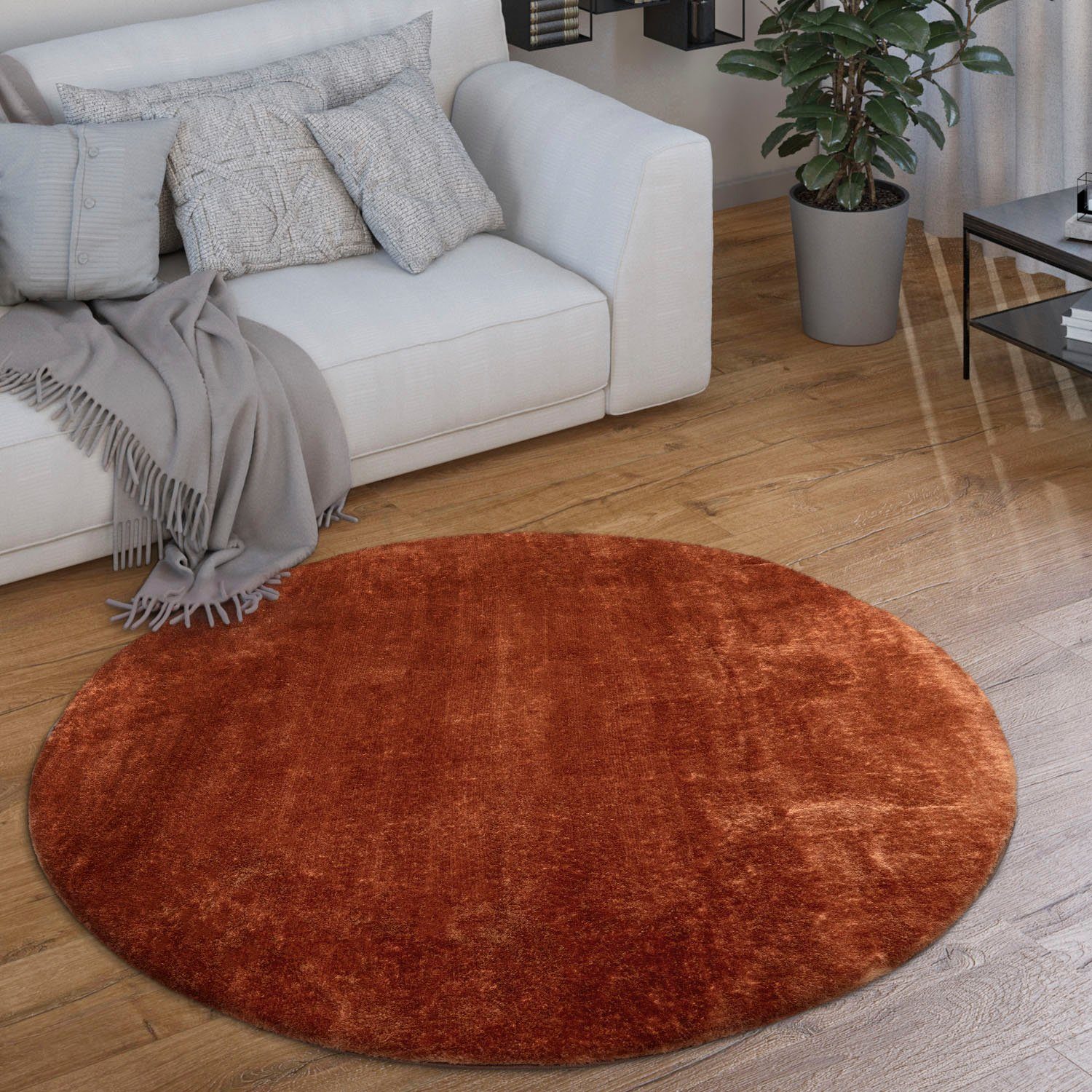 Paco Home Teppich Cadiz 630, rund, günstig online kaufen