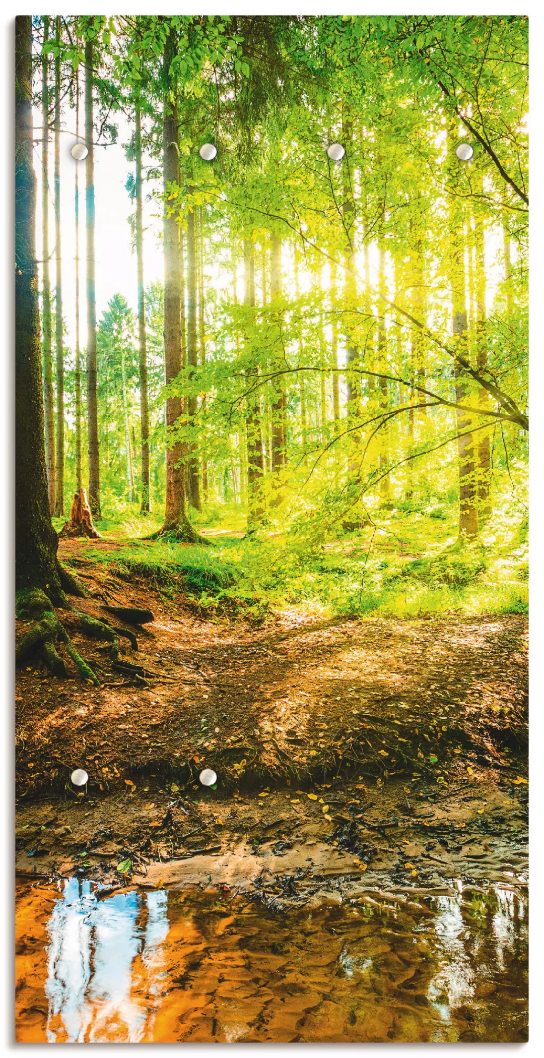 Artland Garderobenleiste "Wald mit Bach", teilmontiert günstig online kaufen