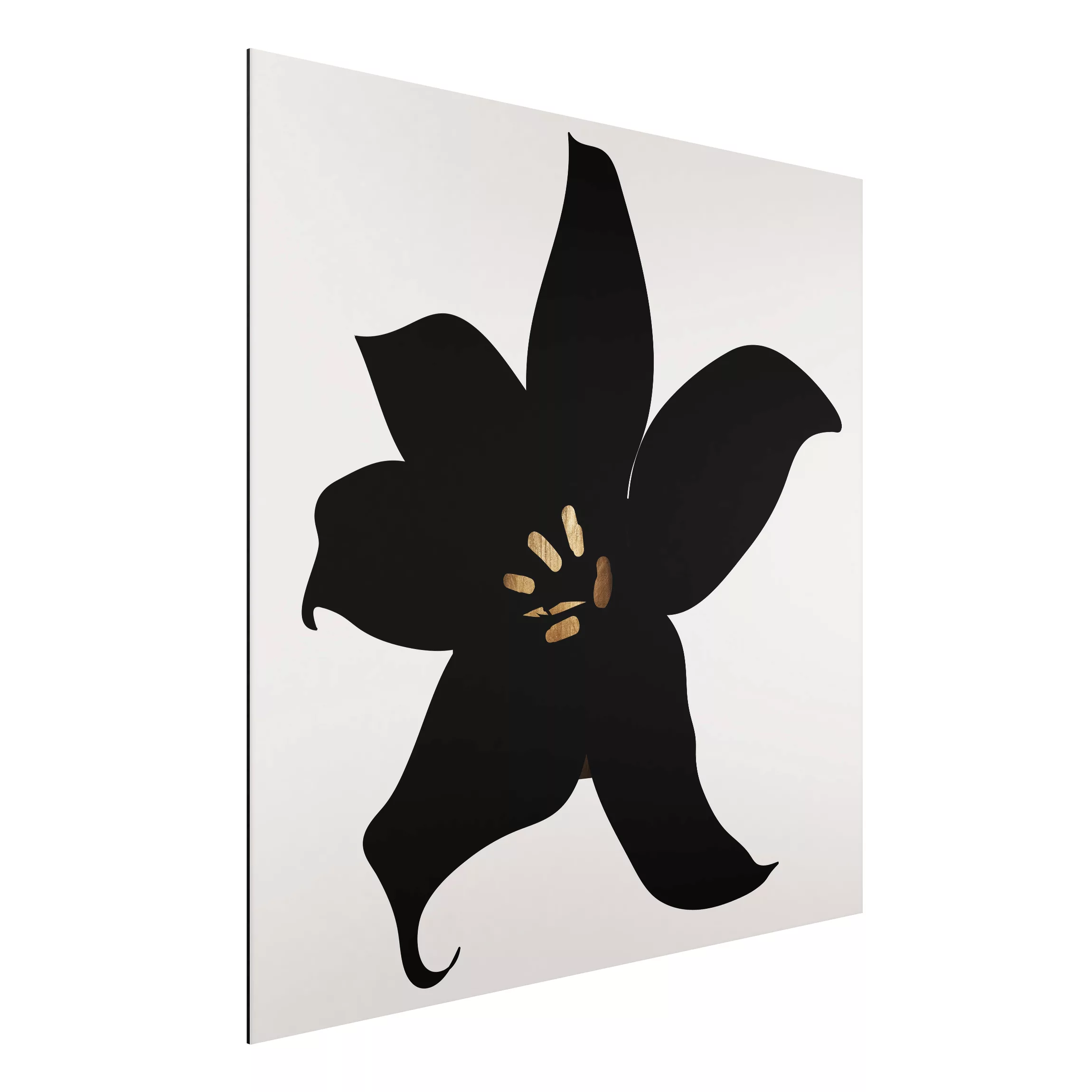 Alu-Dibond Bild Blumen Grafische Pflanzenwelt - Orchidee Schwarz und Gold günstig online kaufen