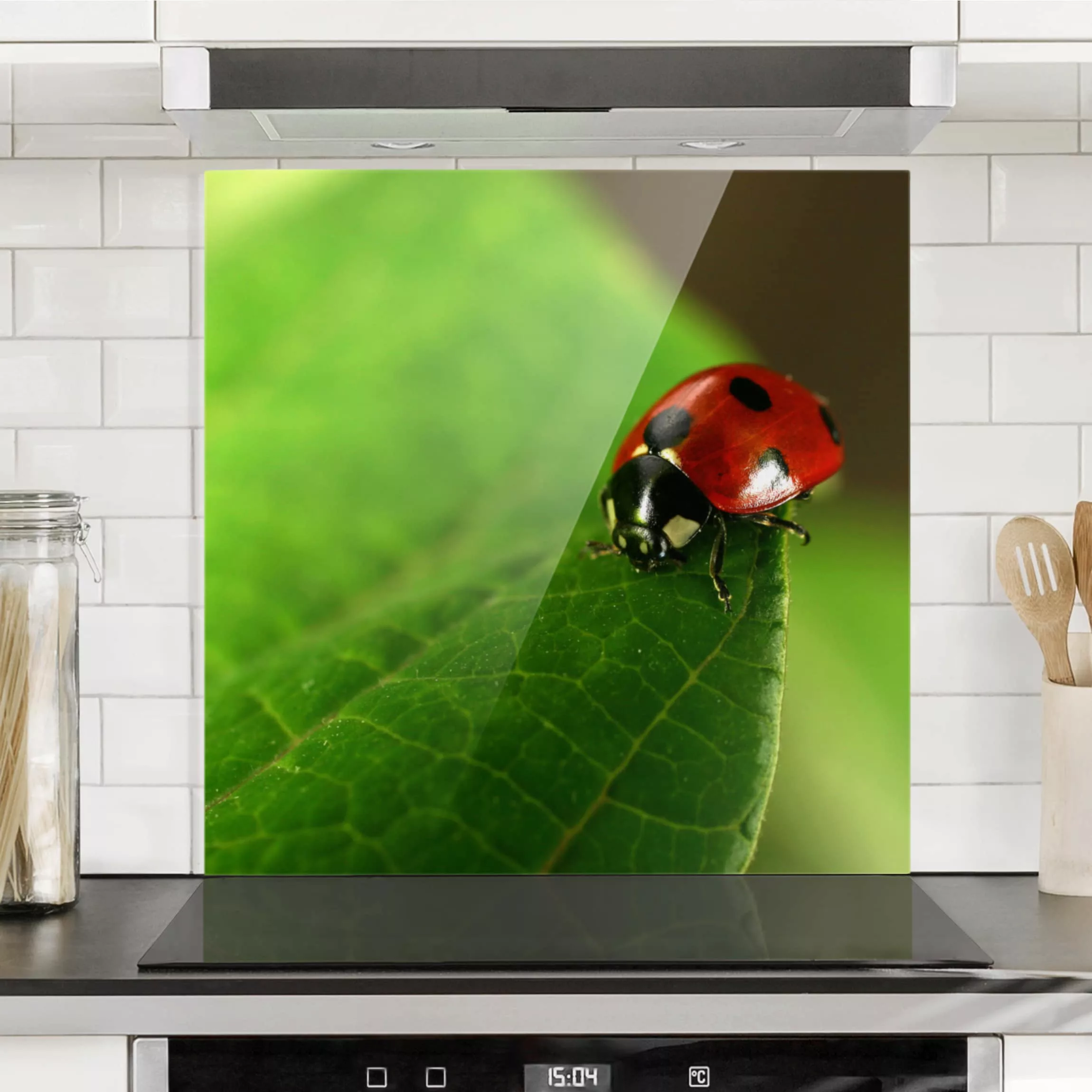 Spritzschutz Lady Bird günstig online kaufen