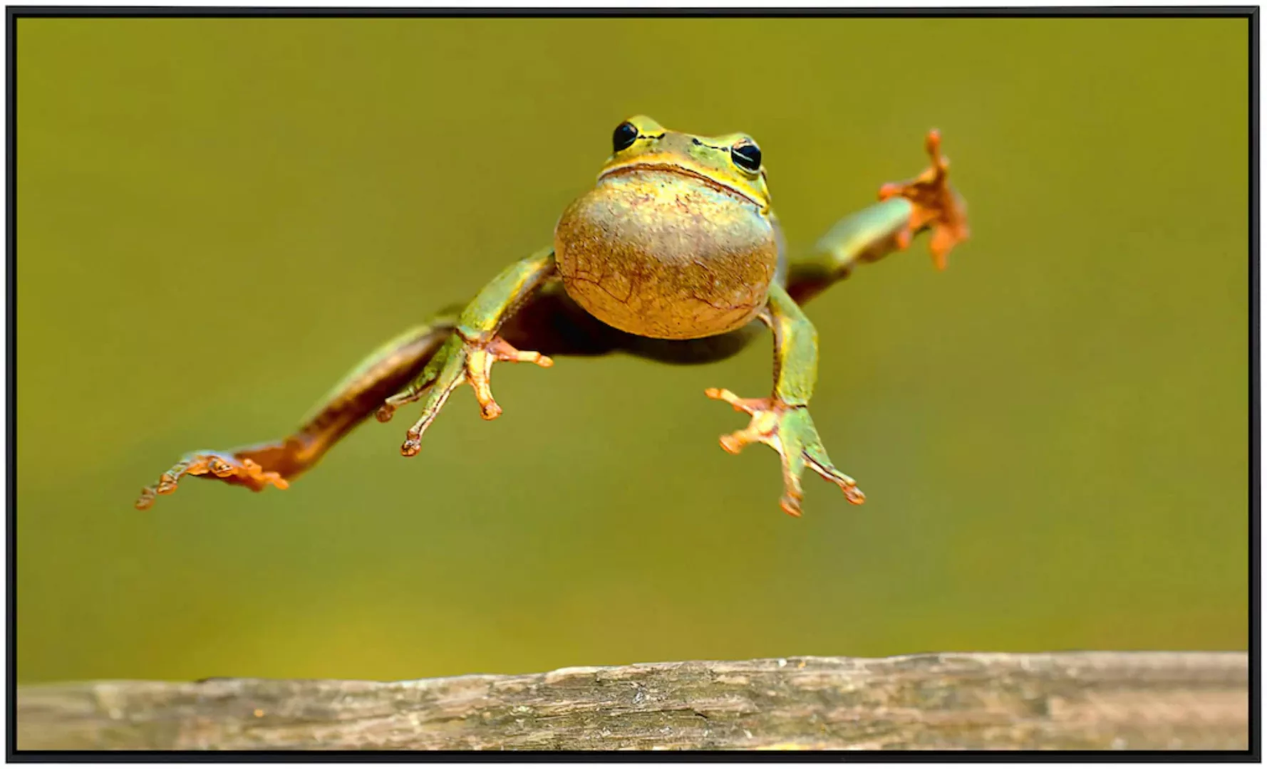 Papermoon Infrarotheizung »Springender Frosch«, sehr angenehme Strahlungswä günstig online kaufen