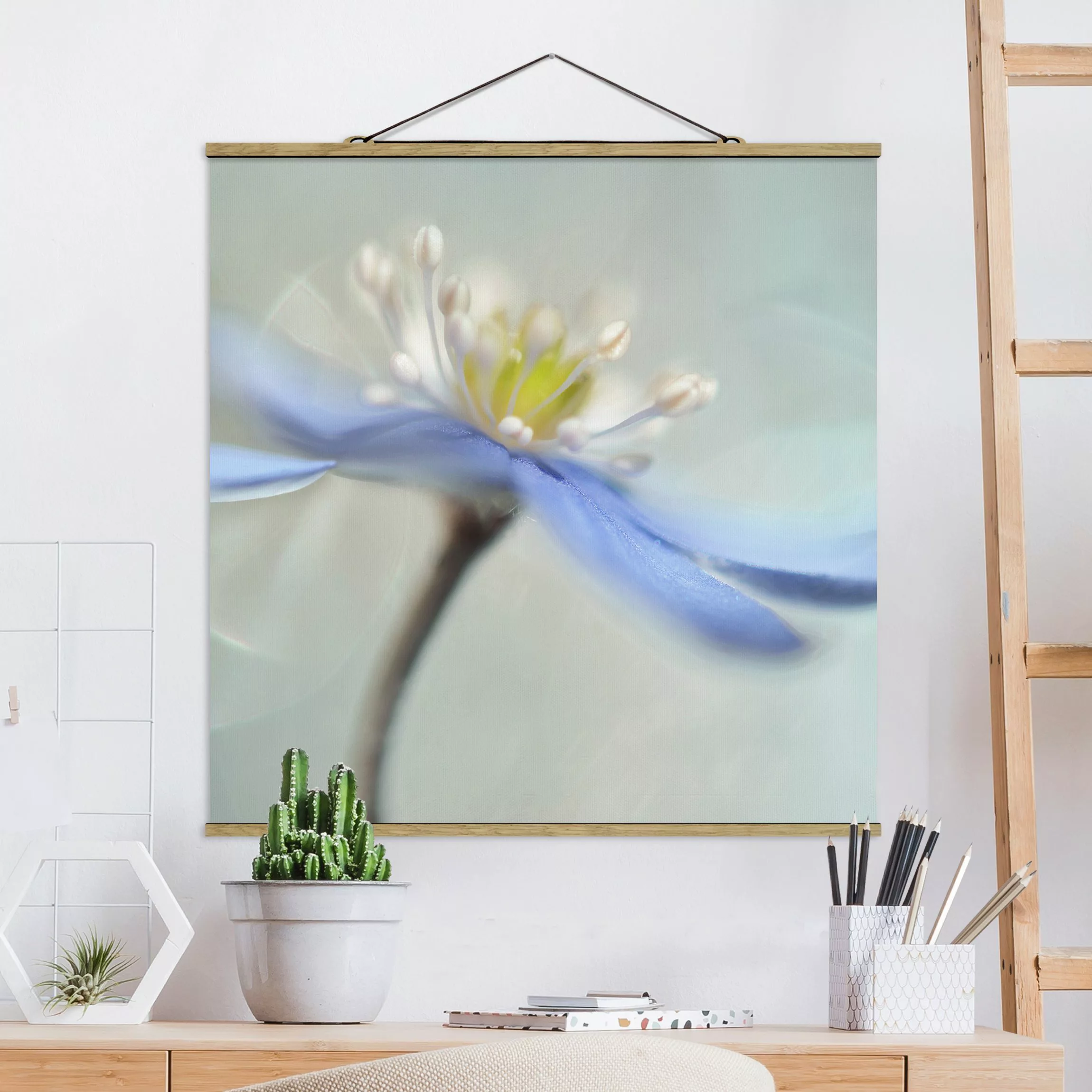 Stoffbild Blumen mit Posterleisten - Quadrat Tanzende Anemonen günstig online kaufen