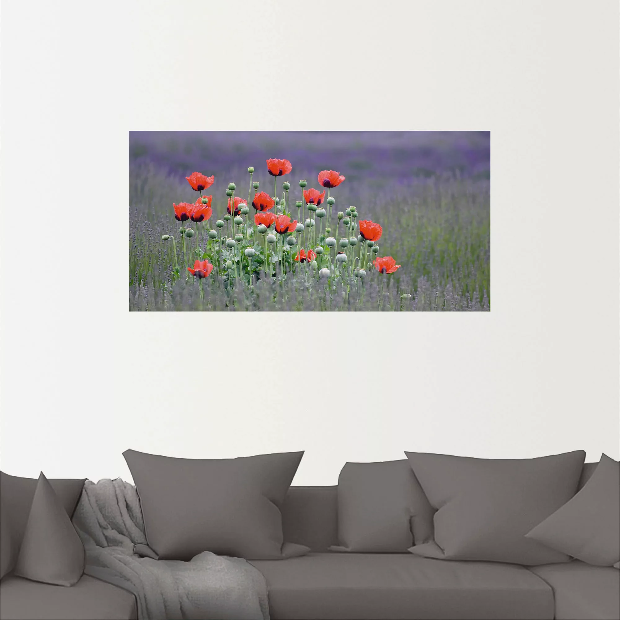 Artland Wandbild "Lavendelfarm in Sequim - Mohnblumen", Blumenwiese, (1 St. günstig online kaufen