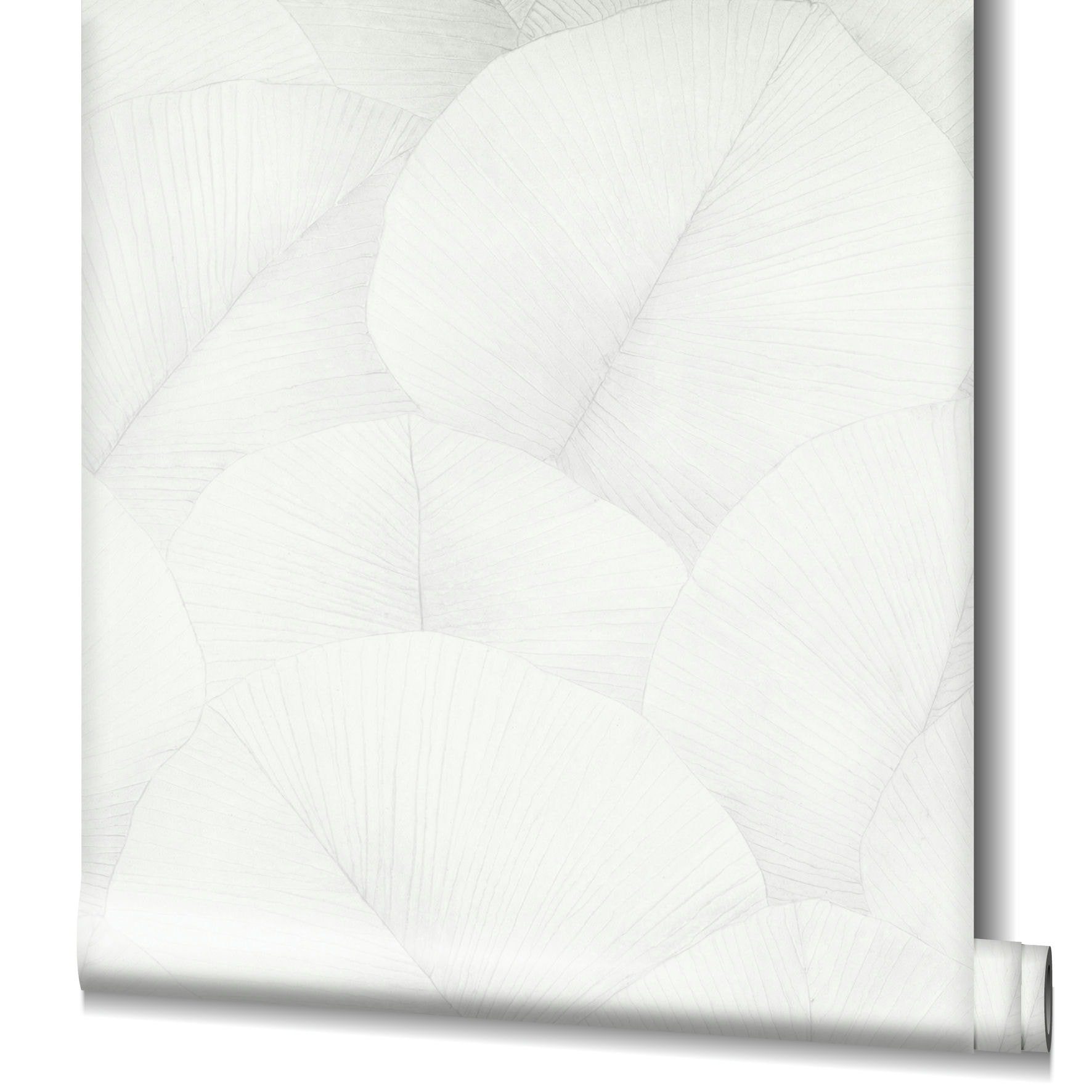 Marburg Vliestapete Blissful Botanics, botanisch, moderne günstig online kaufen