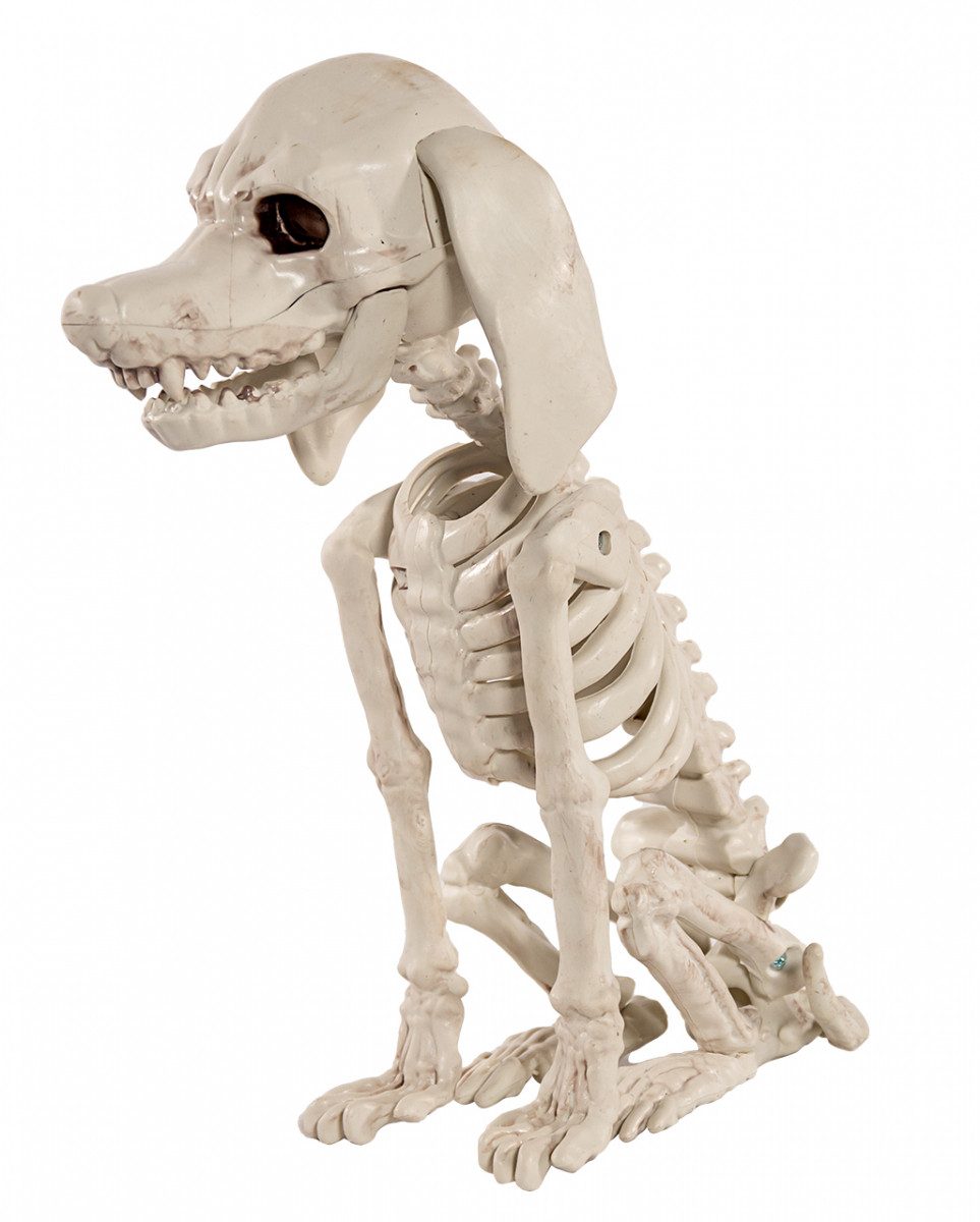 Horror-Shop Dekoobjekt Pudel Hundeskelett als Halloween günstig online kaufen