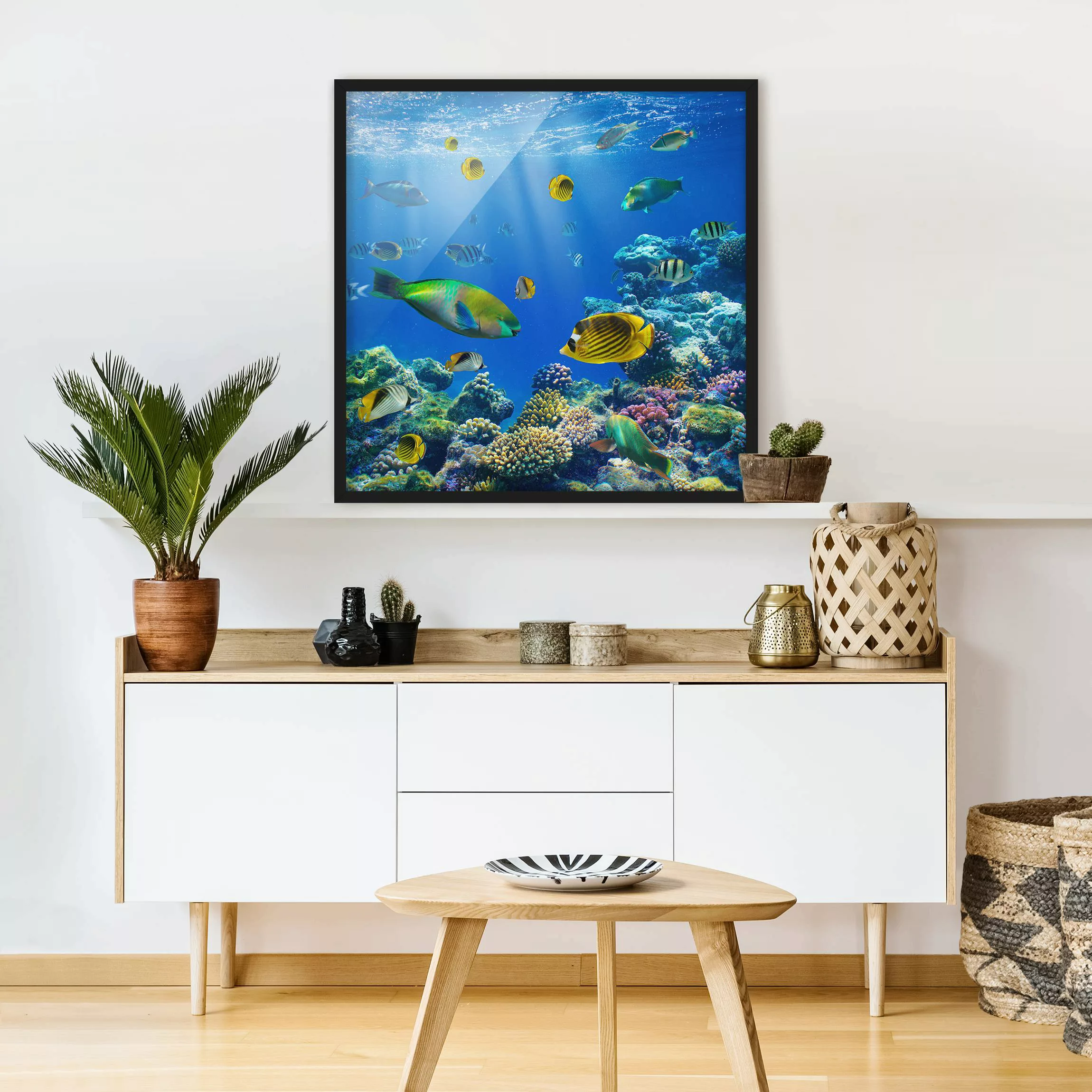 Bild mit Rahmen Natur & Landschaft - Quadrat Underwater Lights günstig online kaufen