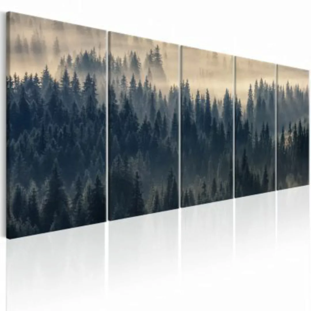 artgeist Wandbild Fir in the Fog mehrfarbig Gr. 200 x 80 günstig online kaufen