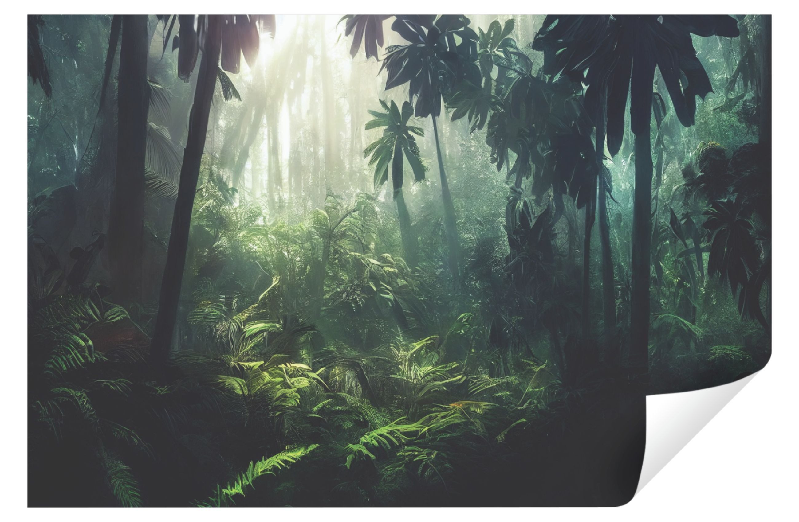 Wallarena Fototapete Dschungel Wald Brume Tropisch günstig online kaufen