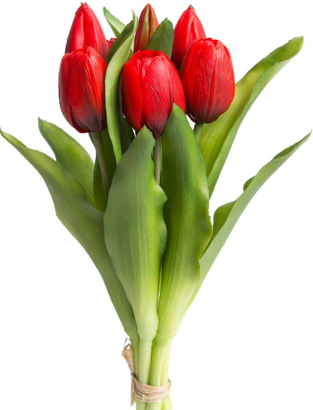 Botanic-Haus Kunstblume "Willa", Tulpenbündel im 7er-Set günstig online kaufen