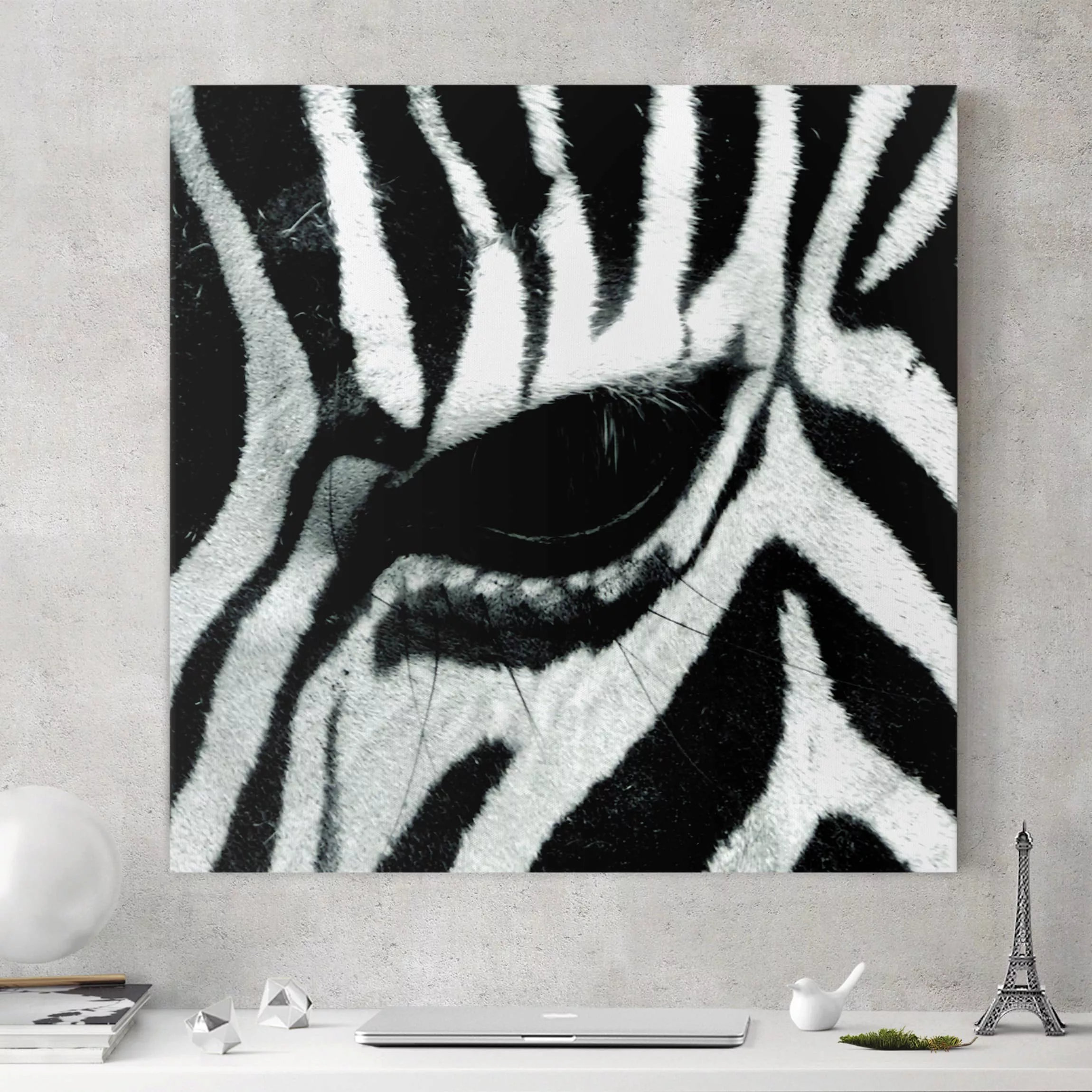 Leinwandbild Tiere - Quadrat Zebra Crossing günstig online kaufen