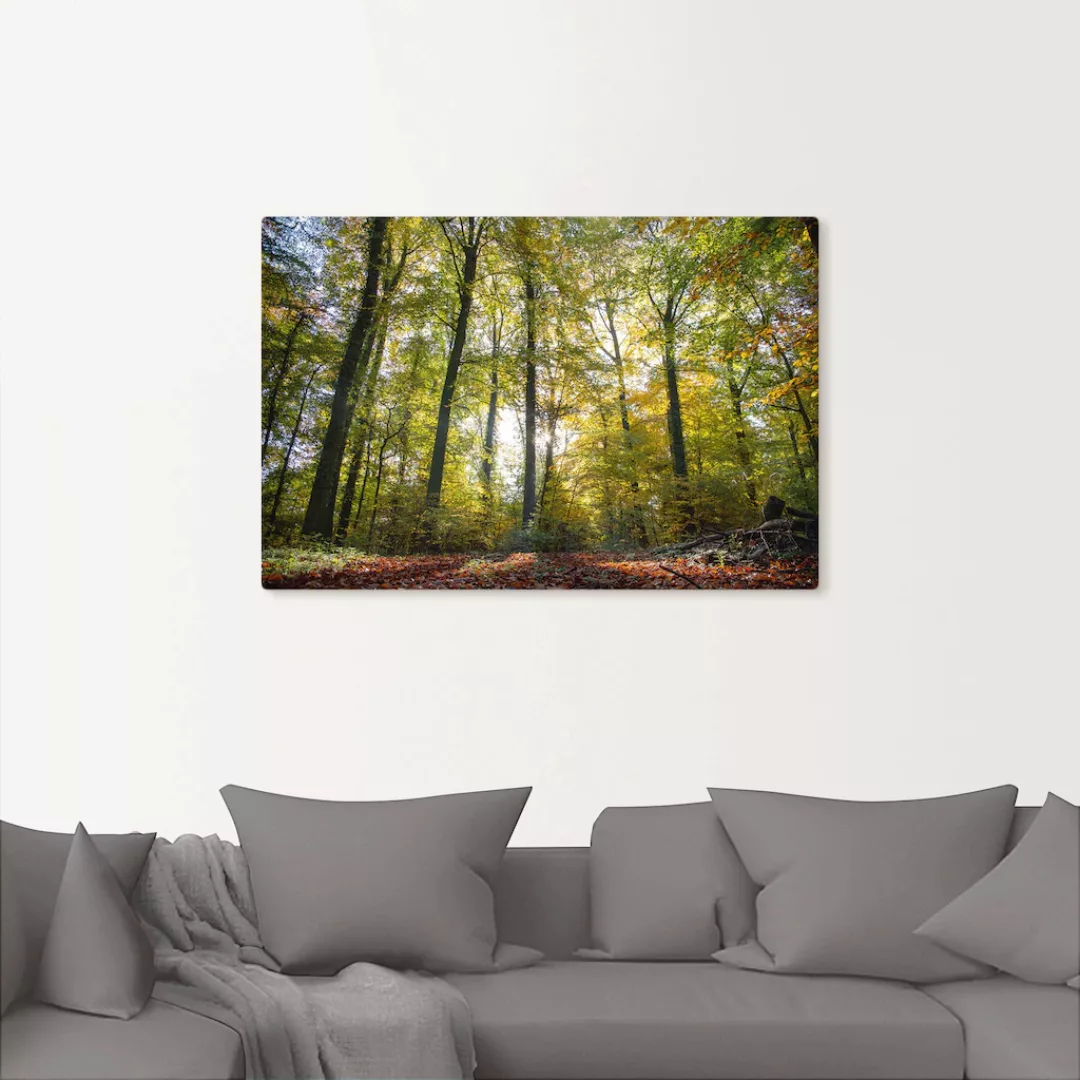 Artland Leinwandbild »Laubwald zum Herbst«, Waldbilder, (1 St.), auf Keilra günstig online kaufen